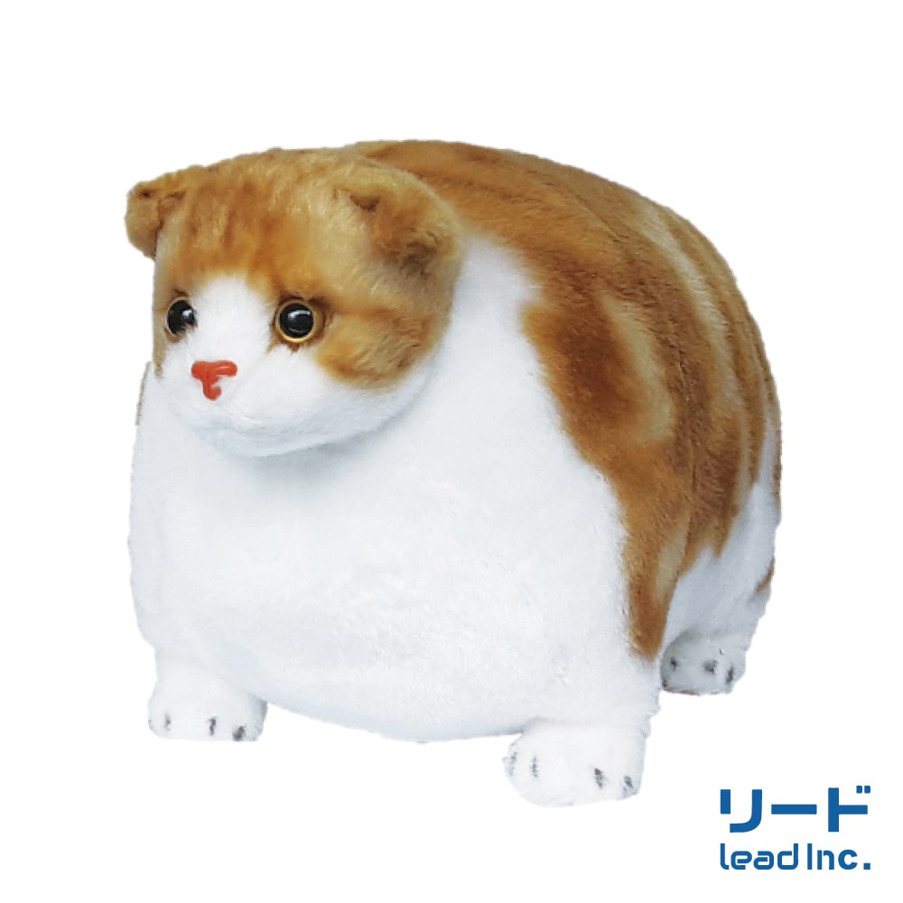 ふとっちぃZooにゃんこ スコティッシュフォールド | リードのおみせ Catail
