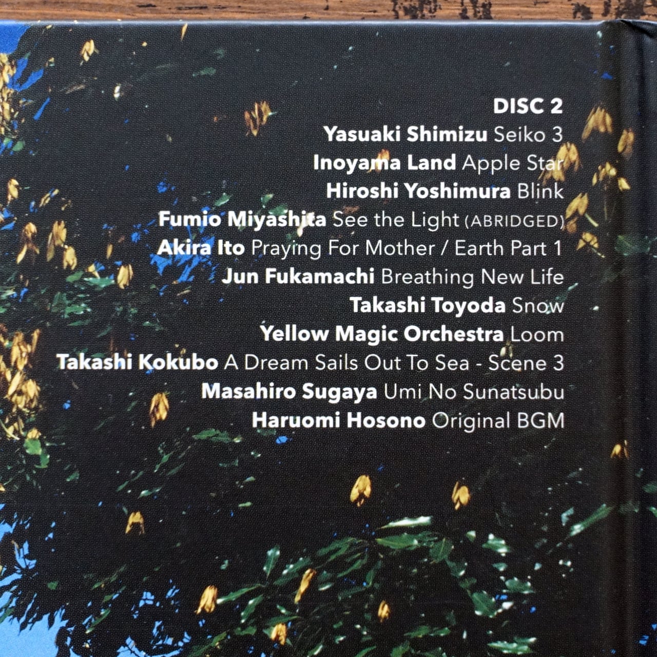 環境音楽 KANKYO ONGAKU : JAPANESE AMBIENT ENVIRONMENTAL & NEW AGE