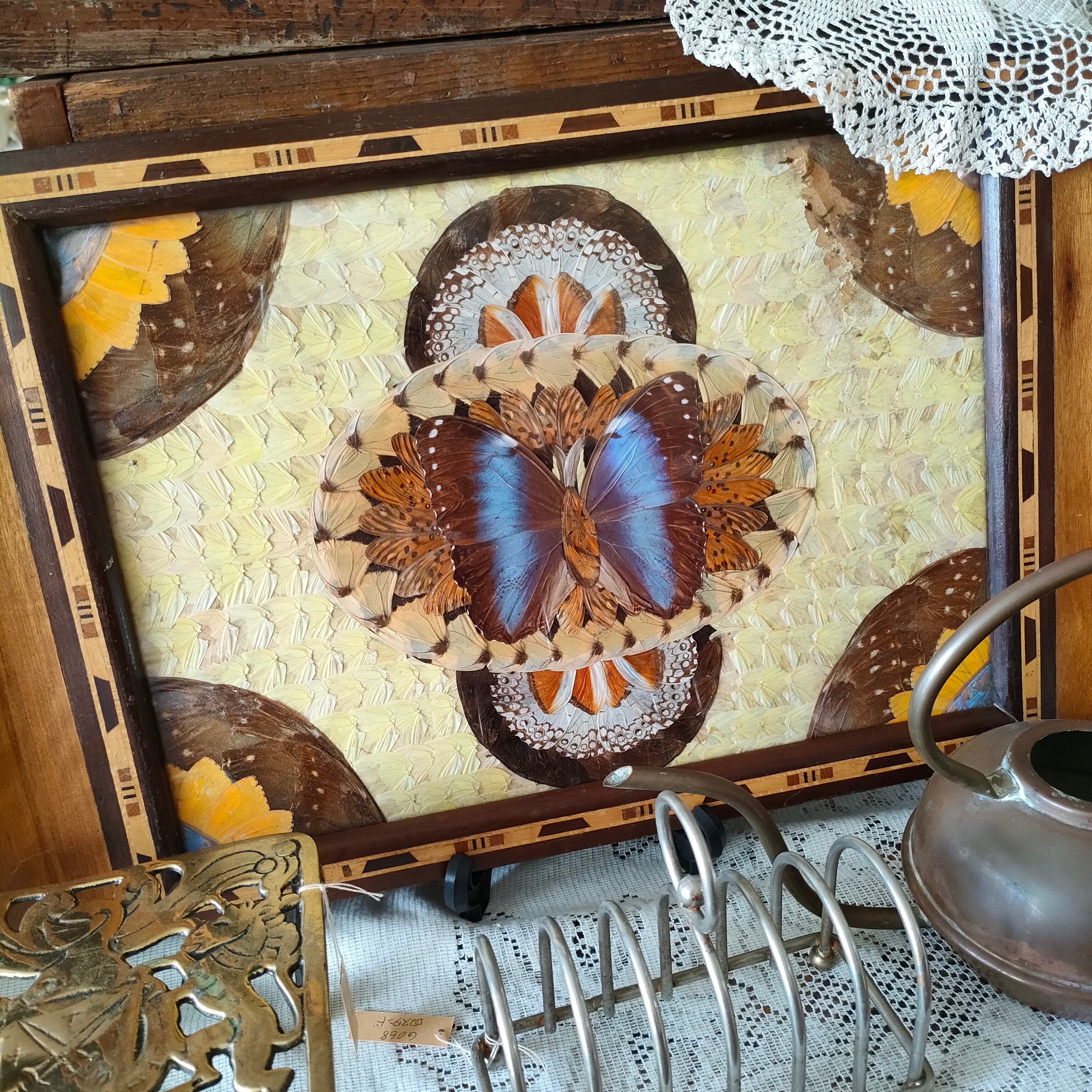 5583e6a140b6d1da8e6a3bc46d736a