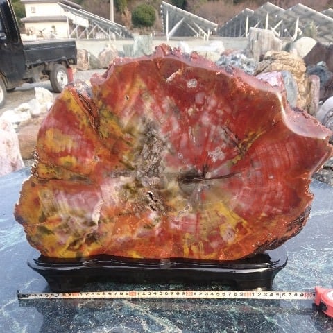 アリゾナ産珪化木24.8キロ 庭石 鑑賞石 化石 原石 宝石 パワーストーン