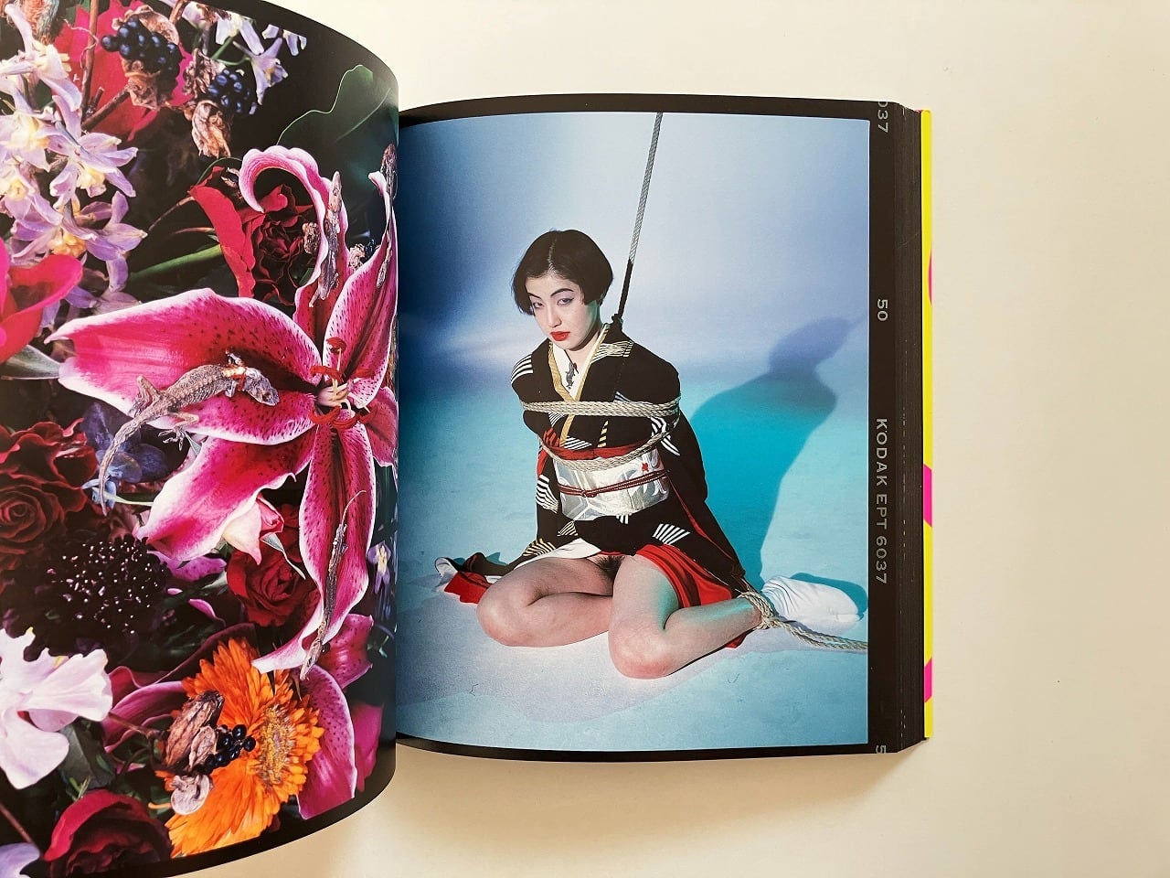 荒木経惟 Nobuyoshi Araki | 6×7 反撃 | 翠ブックス | suibooks | 古書