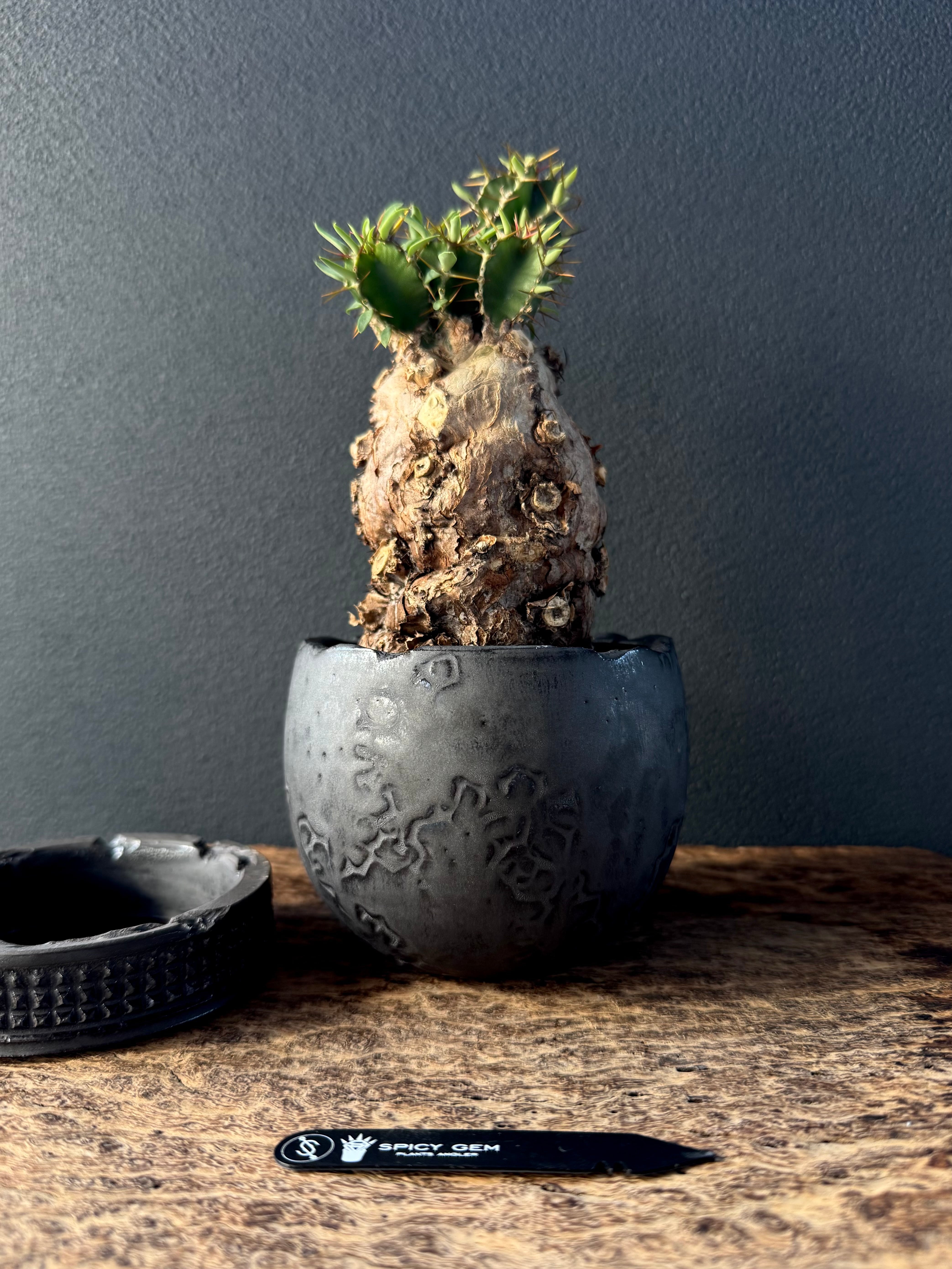 spicygem スパイシージェム small pot brass （検 raw life factory