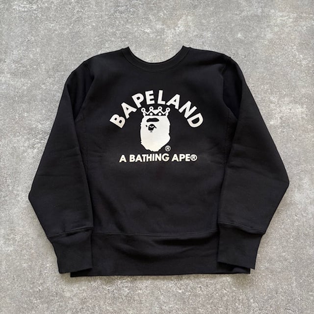 Champion】A Bathing APE チャンピオン アベイシングエイプ リバース