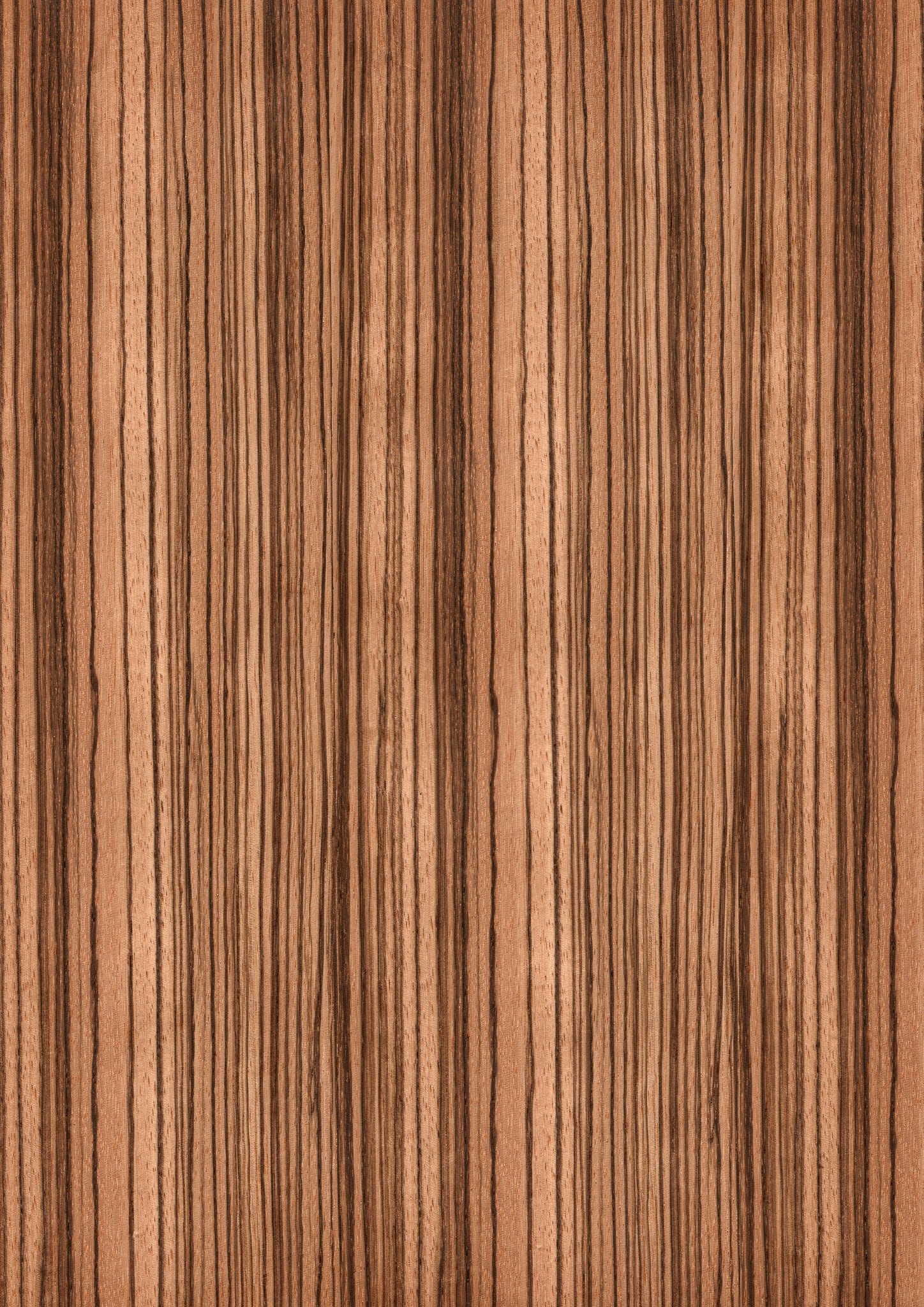 天然木ツキ板シート ゼブラウッド 茶色系 900mm×1800mm | poke