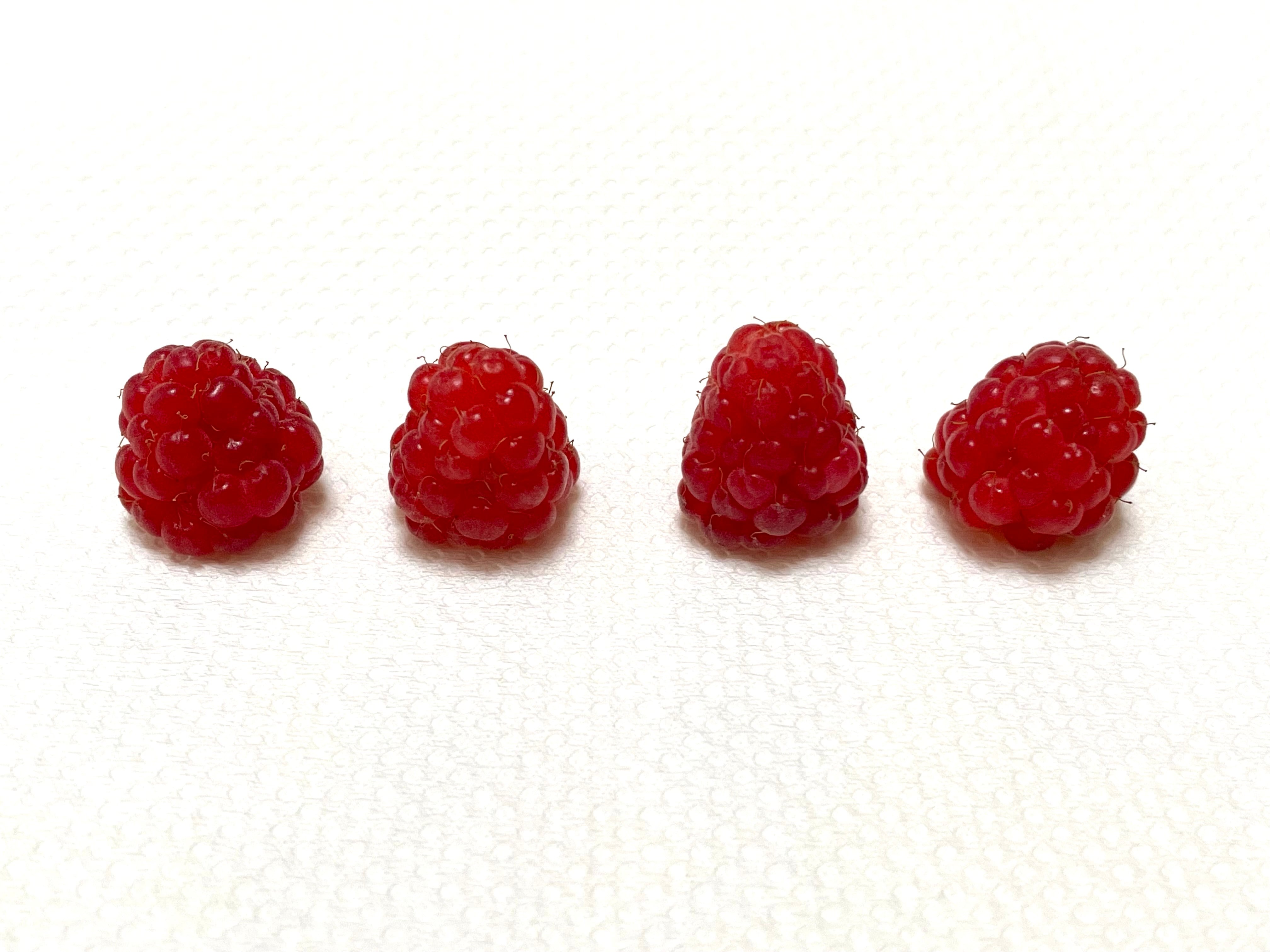 Tulameen（トゥラミーン）---販売準備中--- | おおだてラズベリーファーム