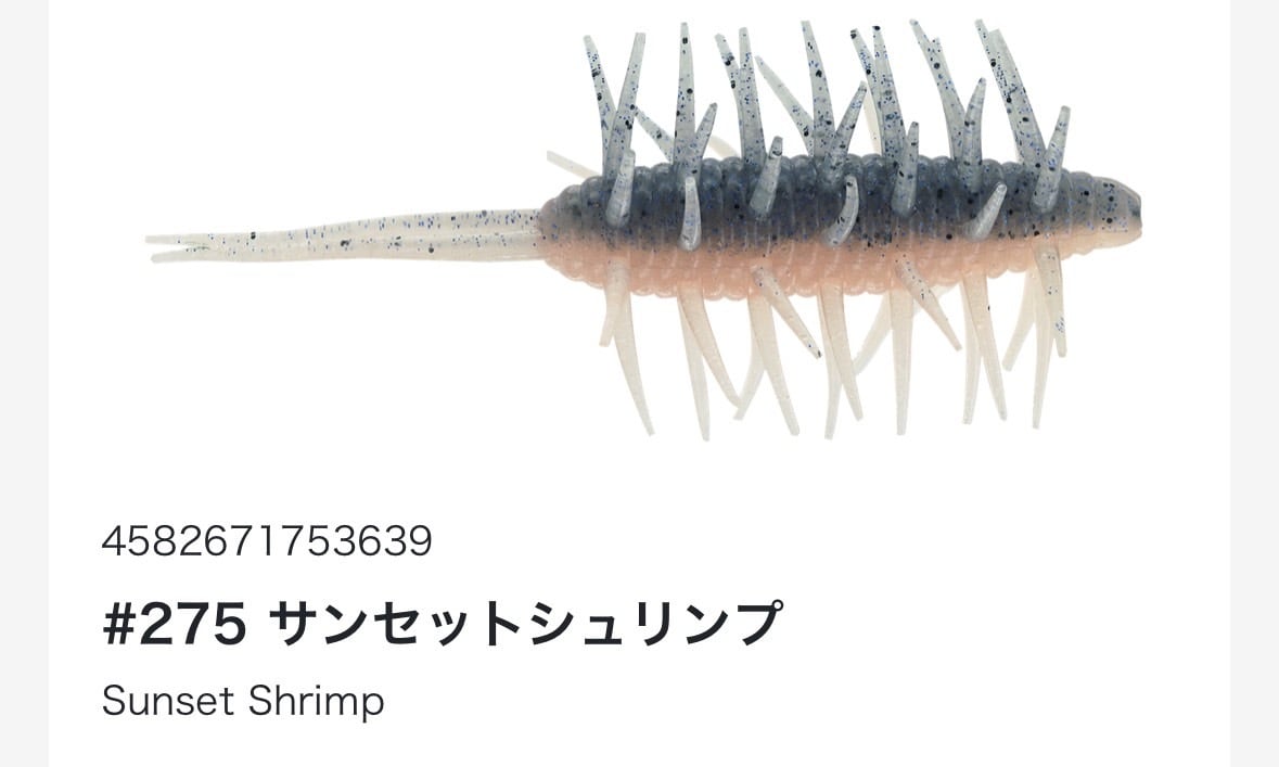 コイケシュリンプ | TRIBE NETSTORE