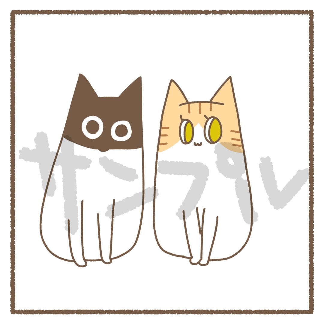 オーダーメイド猫イラスト | atelierweeen