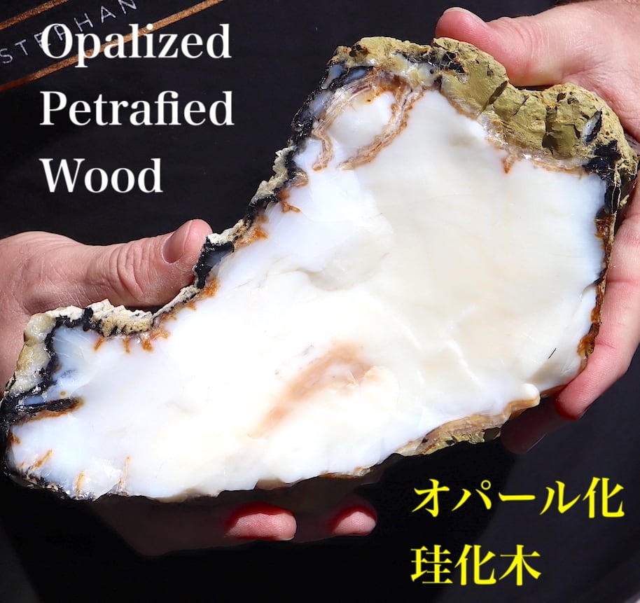 お客様専用】超特大！オパール化！珪化木 ペトリファイドウッド 3300g