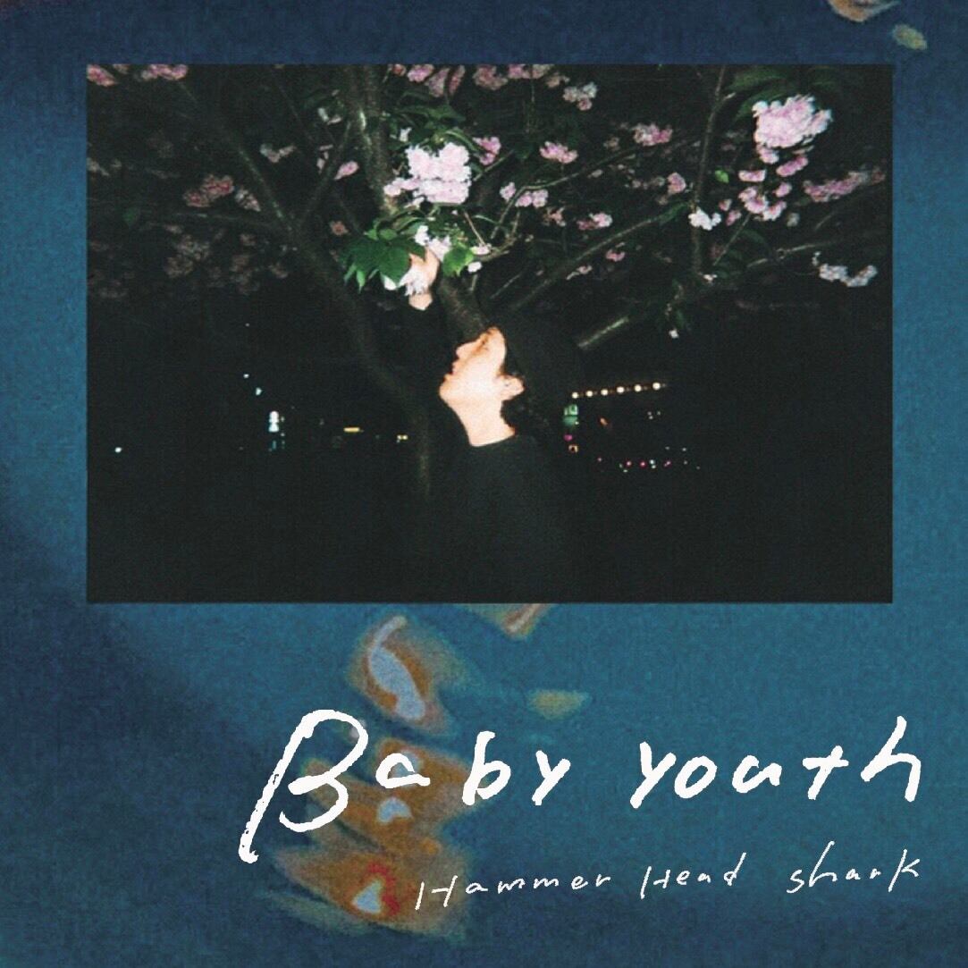 59cf3d7630a36b511a6ac002bd5090