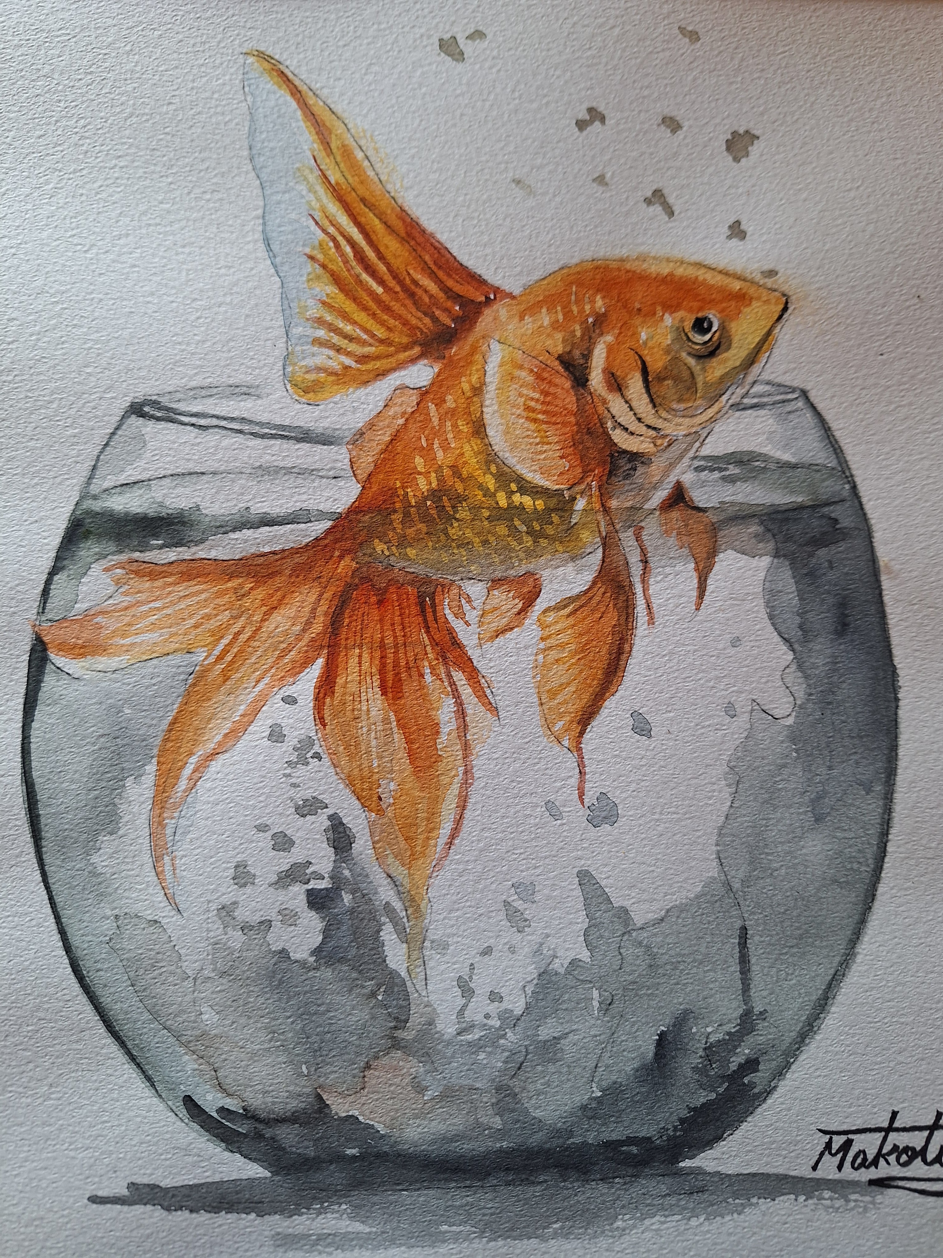 水彩画 跳ねる金魚 | 工房 和み