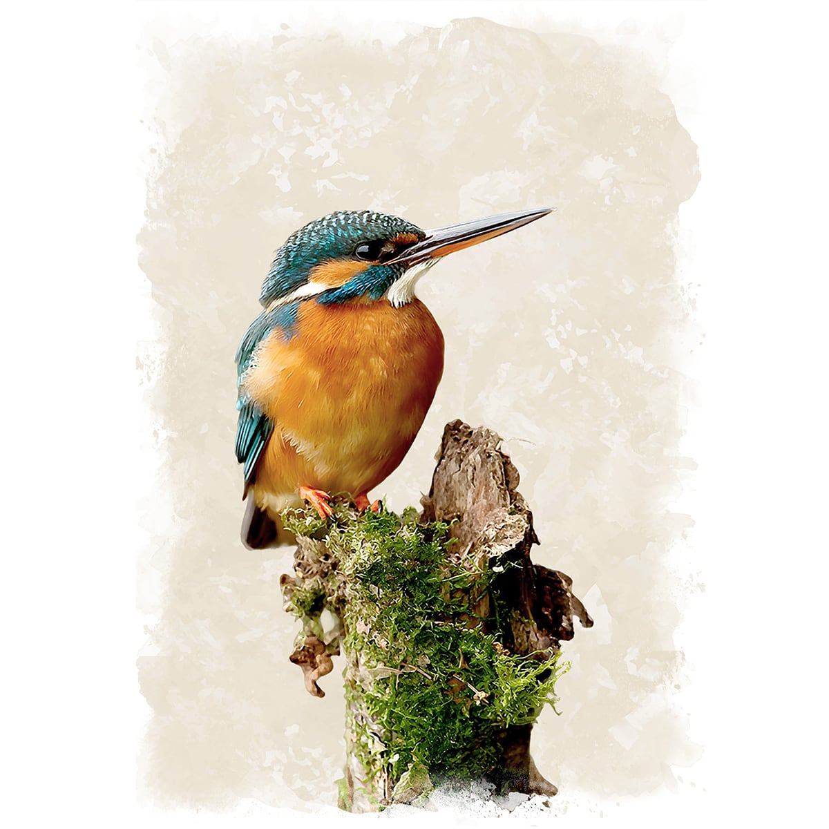 絵画 動物 鳥 カワセミ インテリアアート額付き 水彩画・油絵風