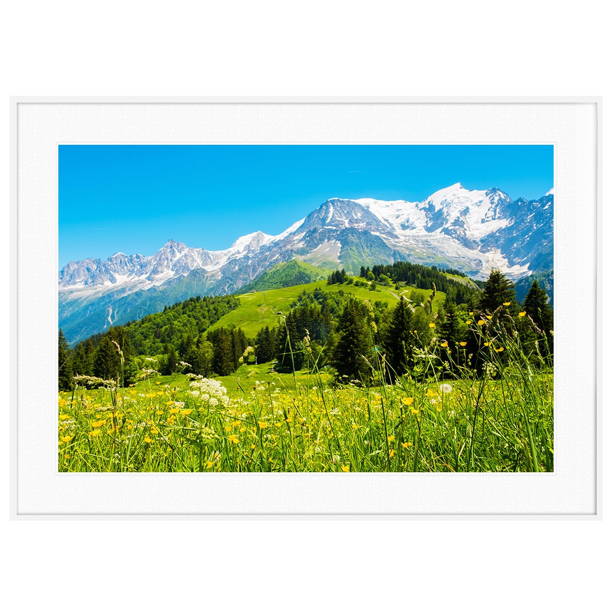 5bb992f29b45ffcdc96a6d0aa790c2