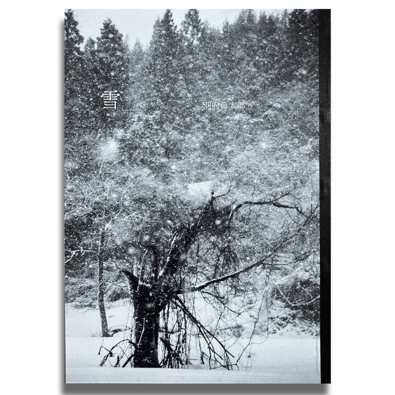 写真集 雪 | beppurintaro_store