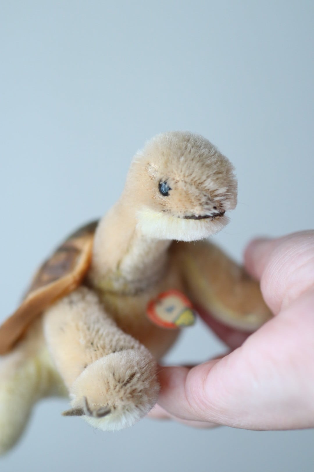 ヴィンテージ シュタイフ お眠りひつじ FloppyLamby | ぷちアンティーク