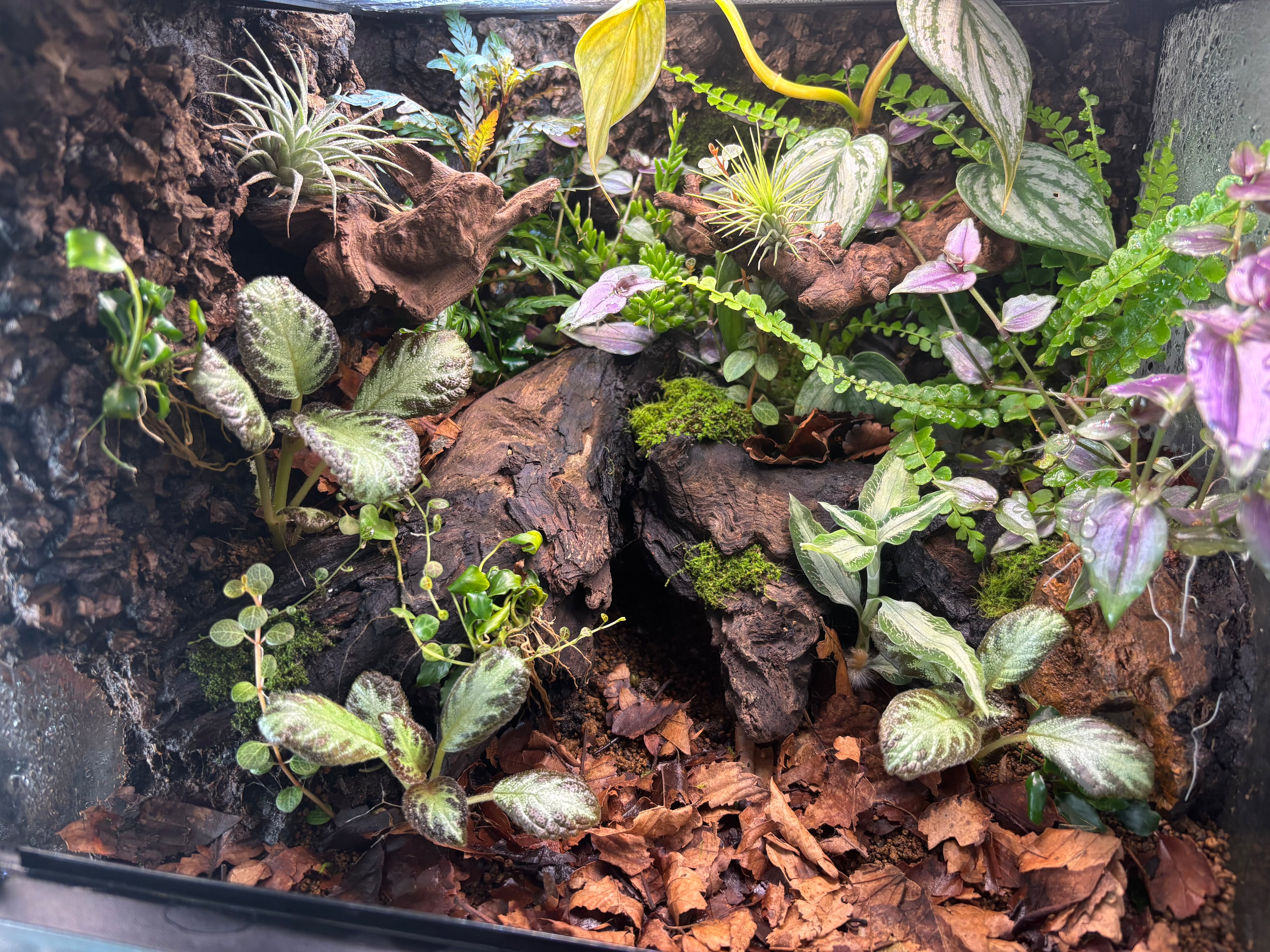 5c8014f7f1622c626de9733e2048c8