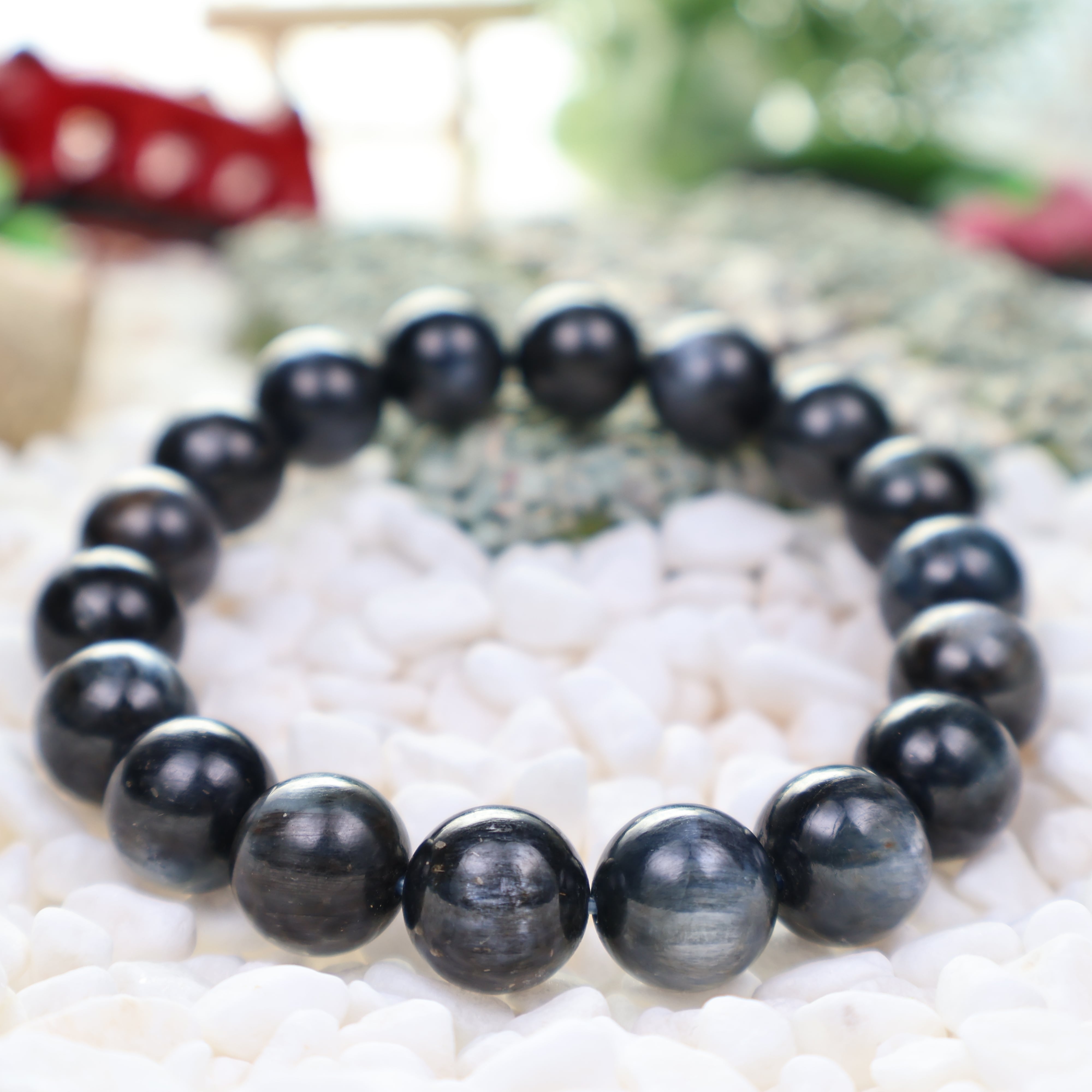 はくとん( 'ω')ŧ‹