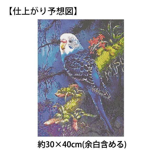 絵画 (仏美術品) エッチング：Blue Parakeet (青い小鳥•インコ) 絵画