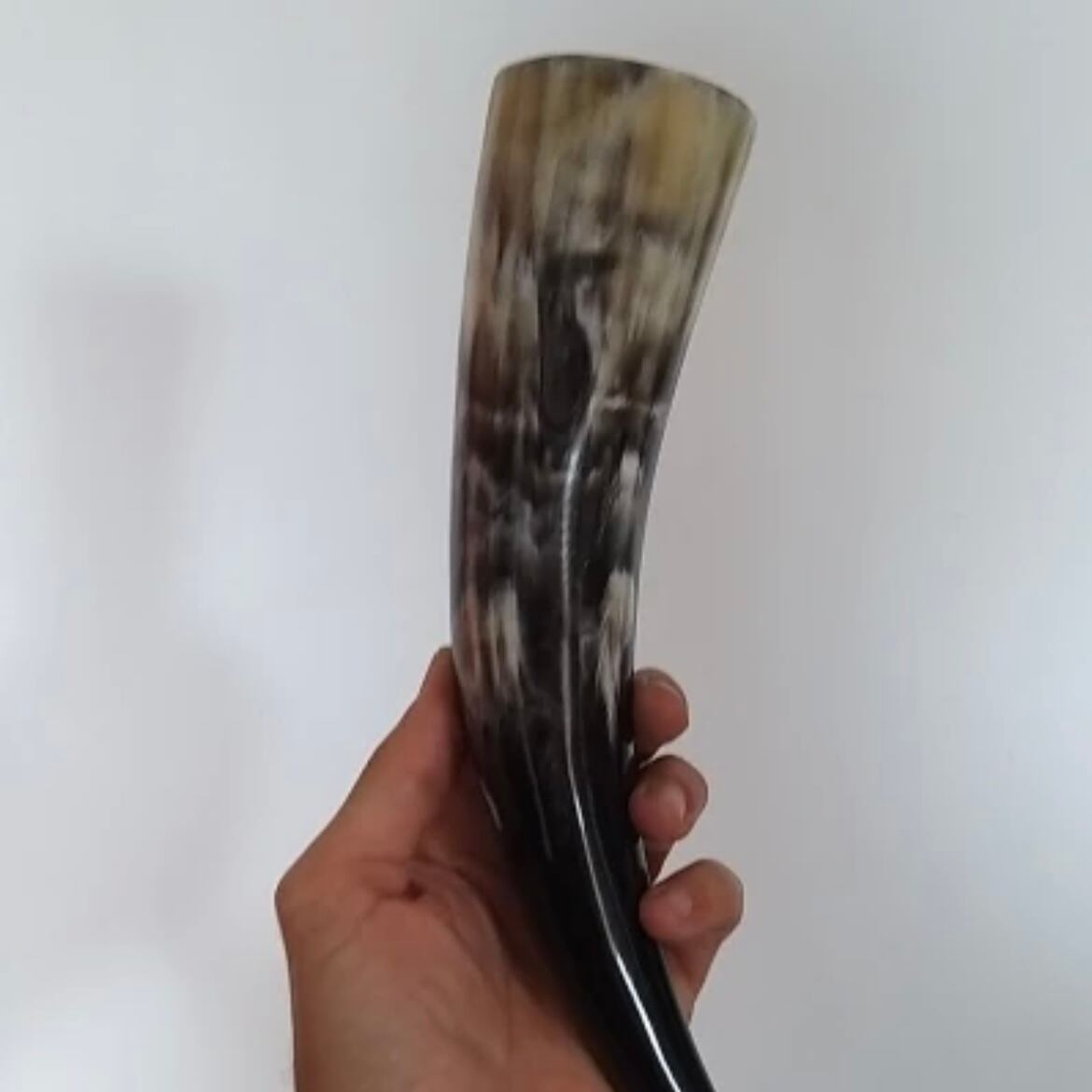 ヴァイキング ドリンキングホーン 角杯 ホーンカップ 450ml 3点セット