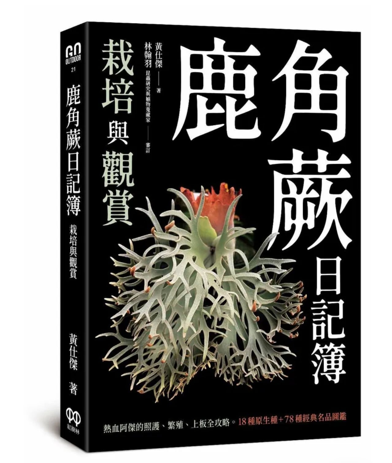 鹿角蕨日記簿 | naturefix