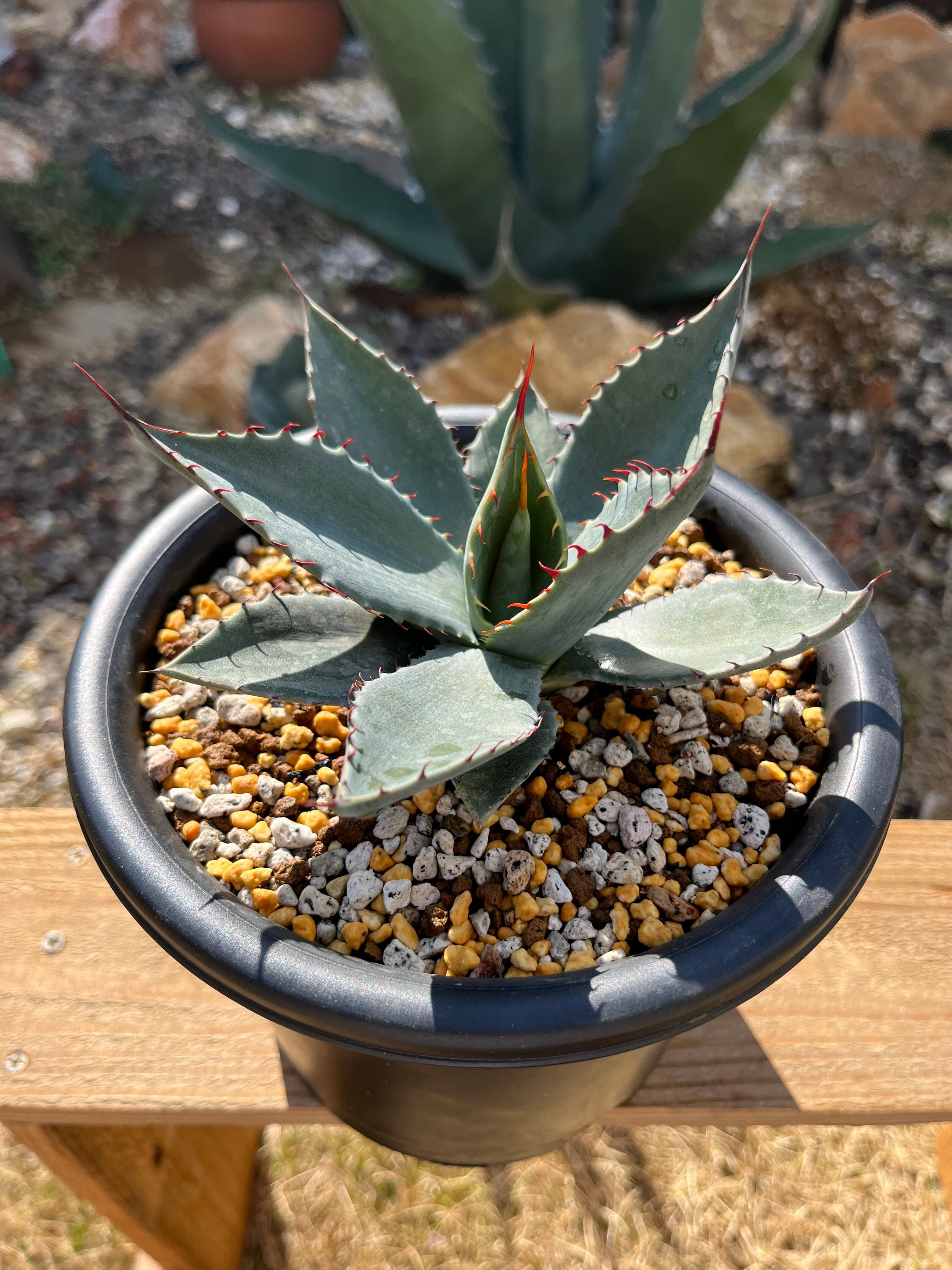 5deb98b5d3228ba47832a4f9d4e310