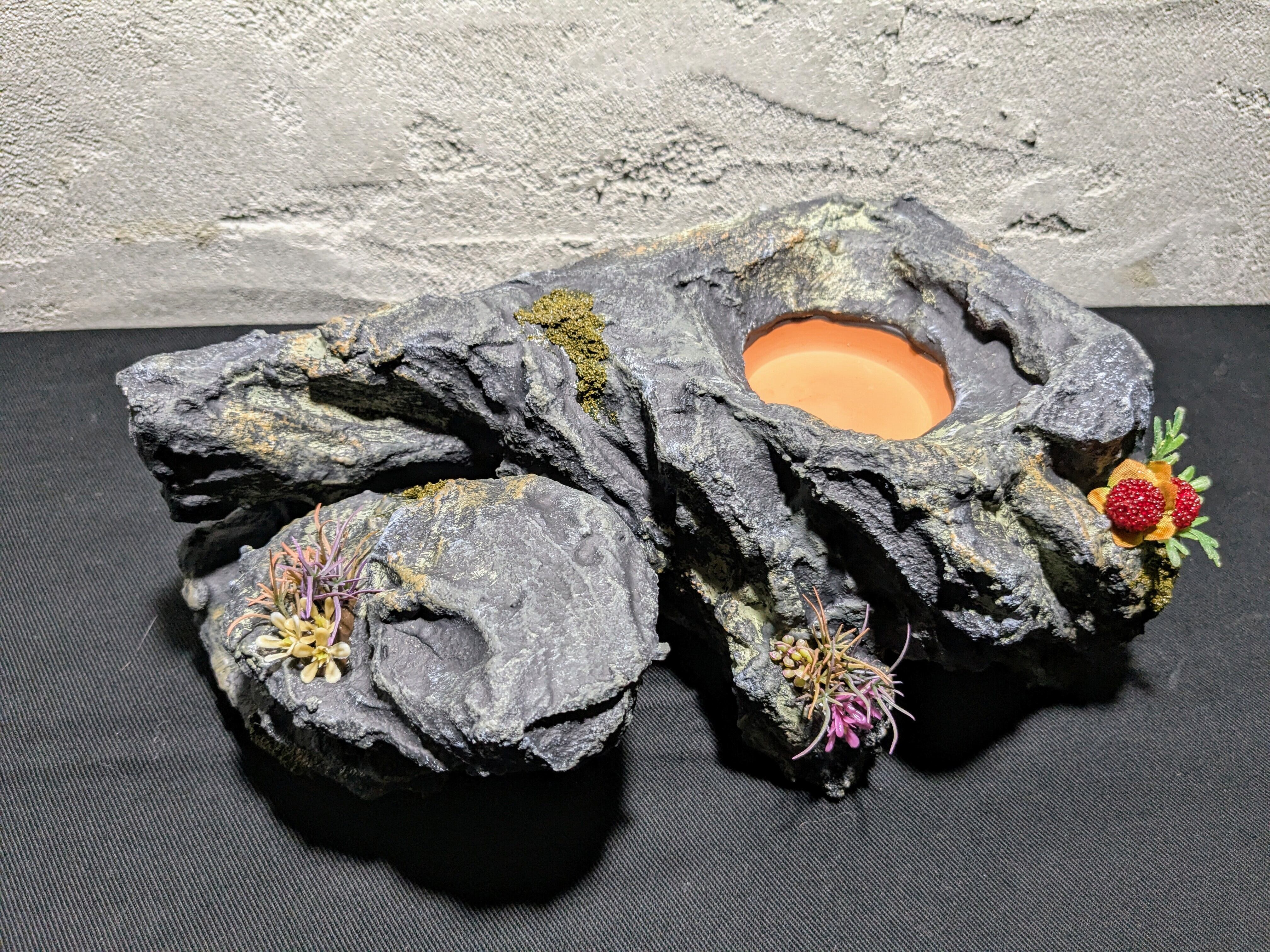 祷 Inori】オリジナル ウェットシェルター（ブラック） | 爬虫類用造形