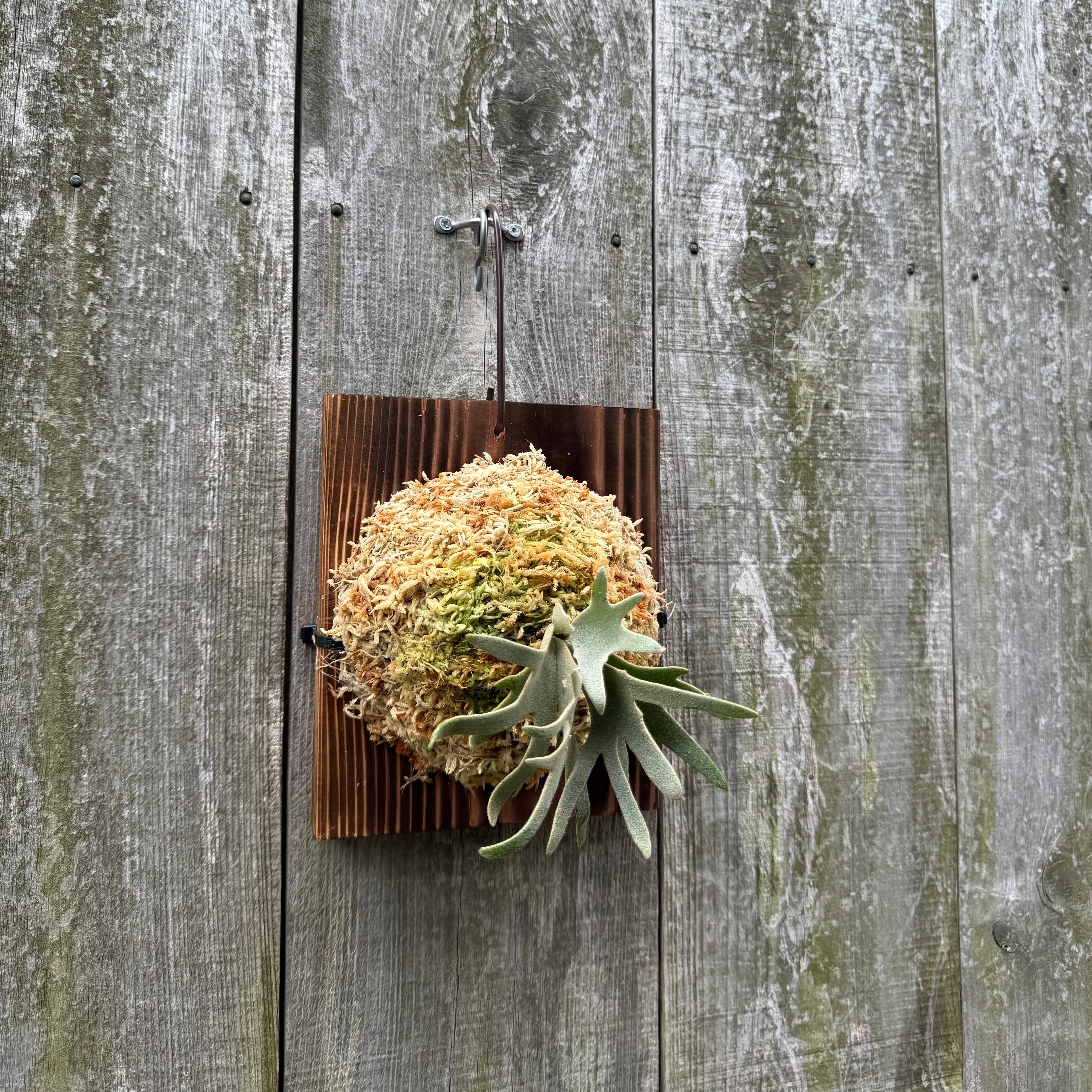 5eeef517fd5ca8e22d99fb507281b4