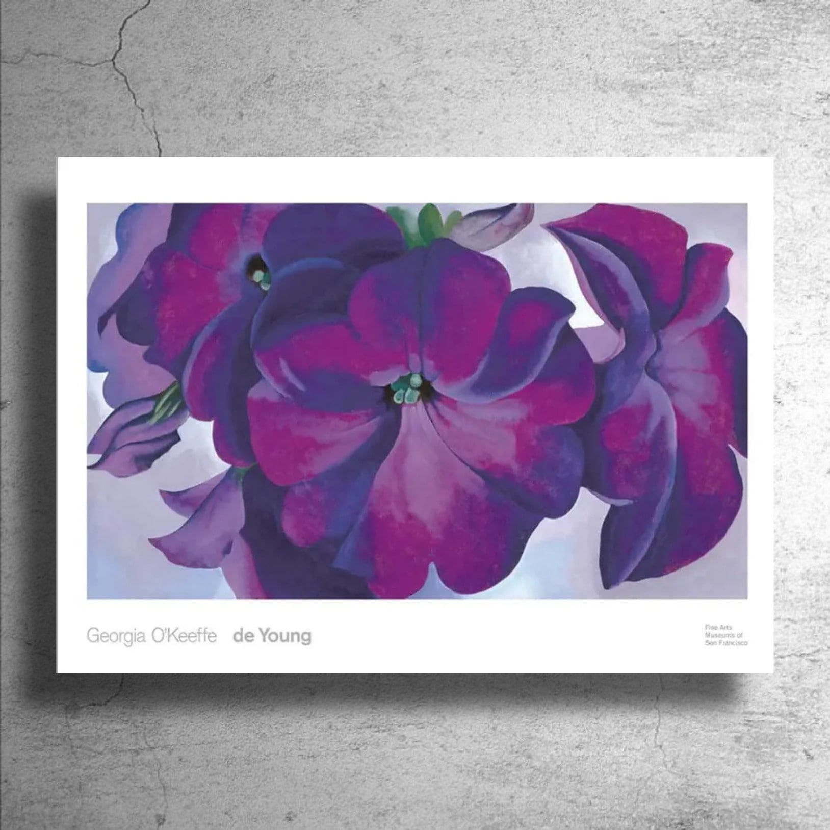 5f358bf53c841a6cab838ab28a932b