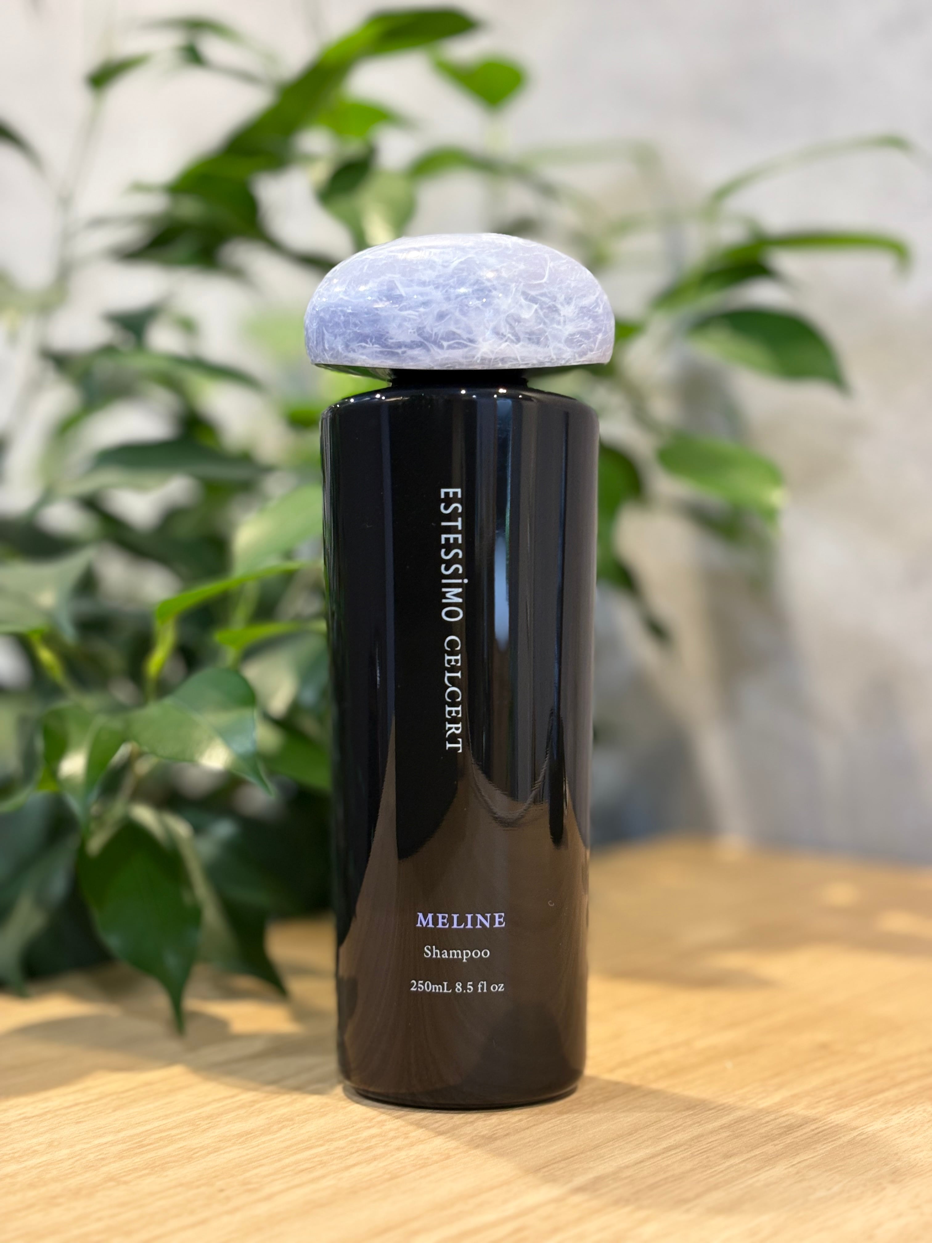 エステシモ イミュン シャンプー 250ml | BearFruit