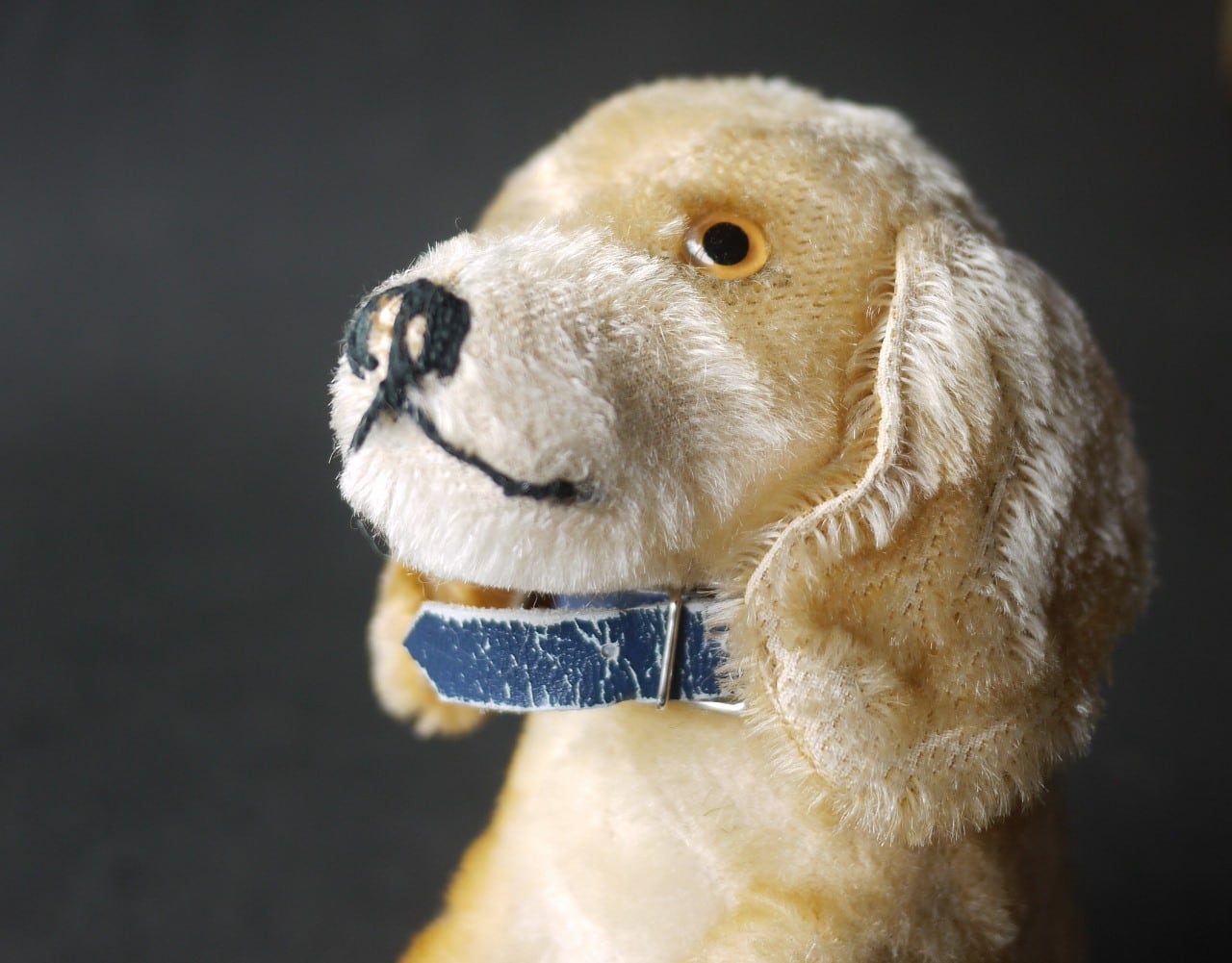 シュタイフ Bazi ダックスフント ドイツ STEIFF | こりすのパン屋Base