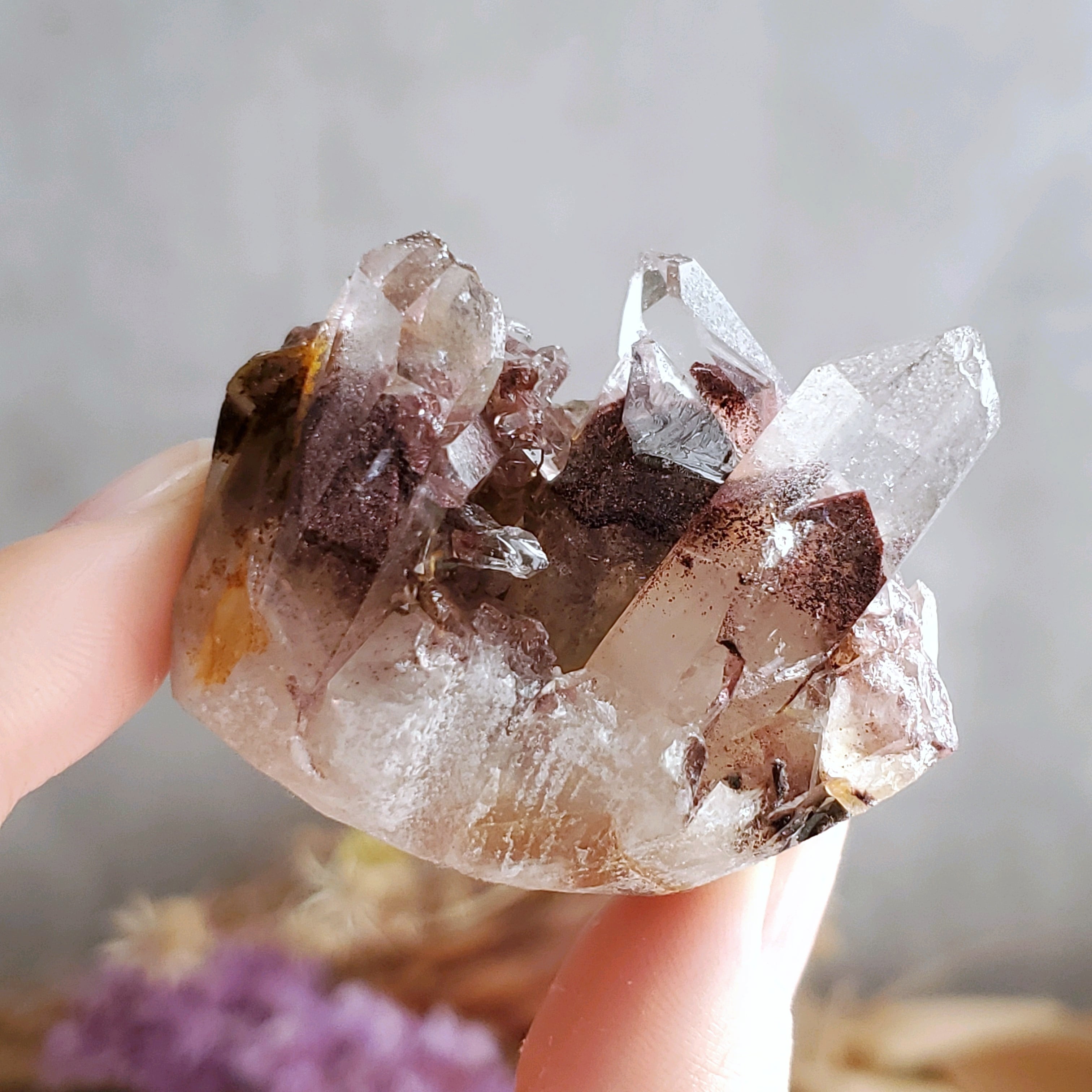 63f09a552555504c9e825e5f6fde5b