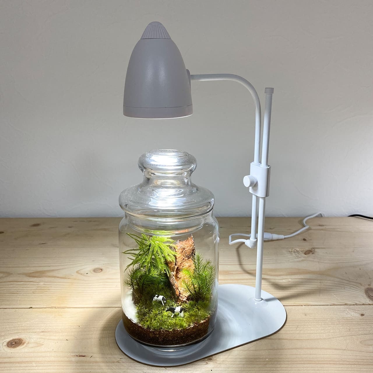 植物育成LED 育つライト | 苔テラリウム専門店Feel The Garden