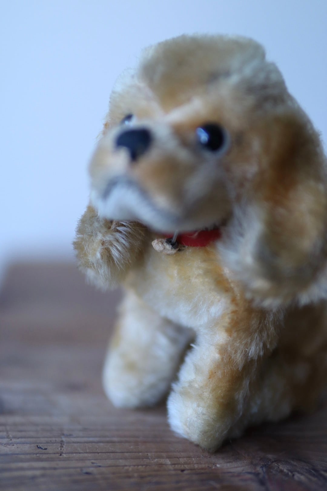 ヴィンテージ シュタイフ 犬 コッカースパニエル Revue Susi 12