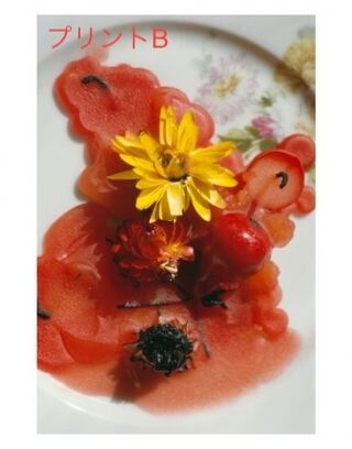 Mémoires. 1984-1987 特別限定版 / 古屋誠一 | gingerbooks