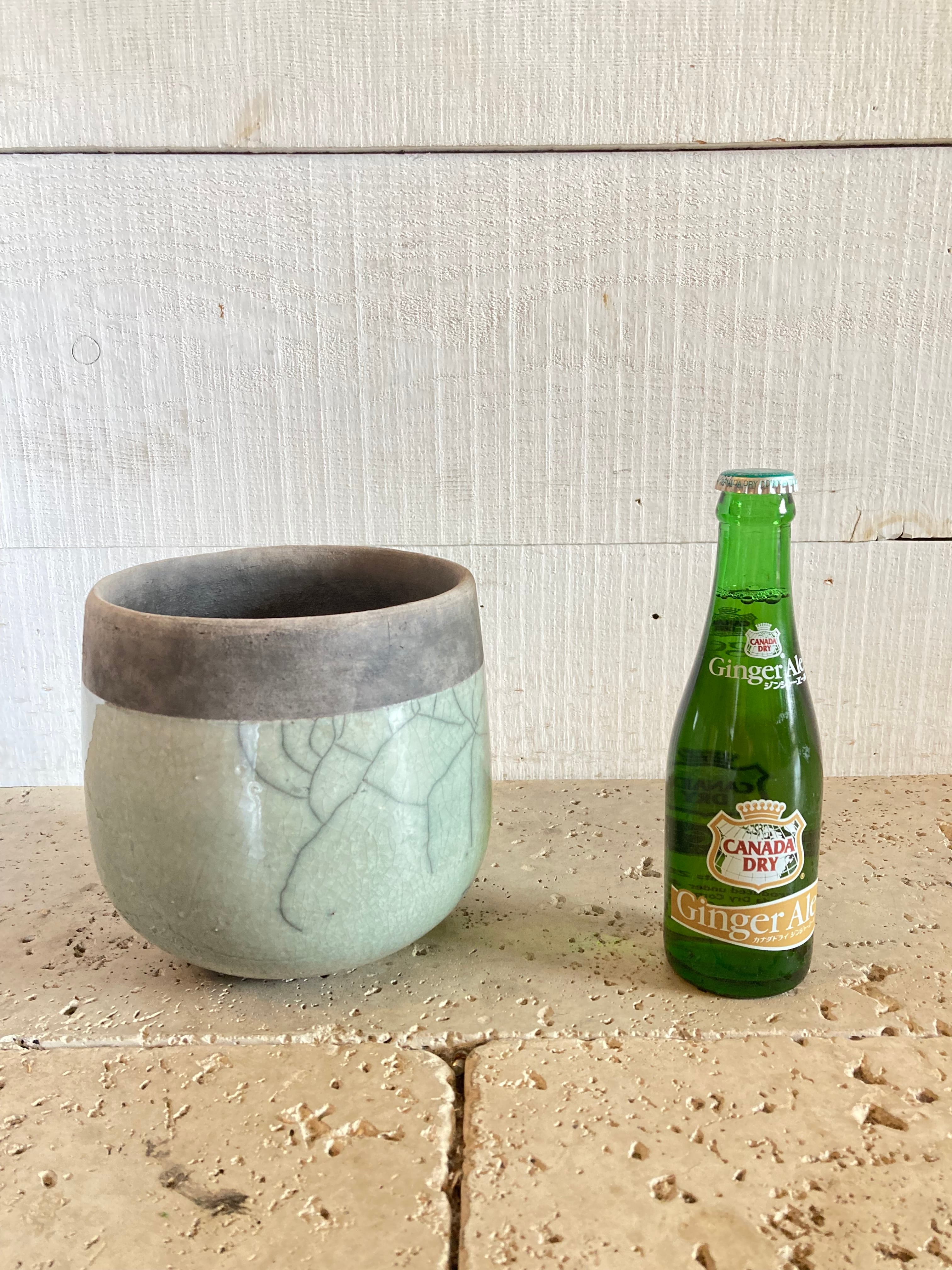 DOMANI MINSK POT 16 ミント | Botanical56