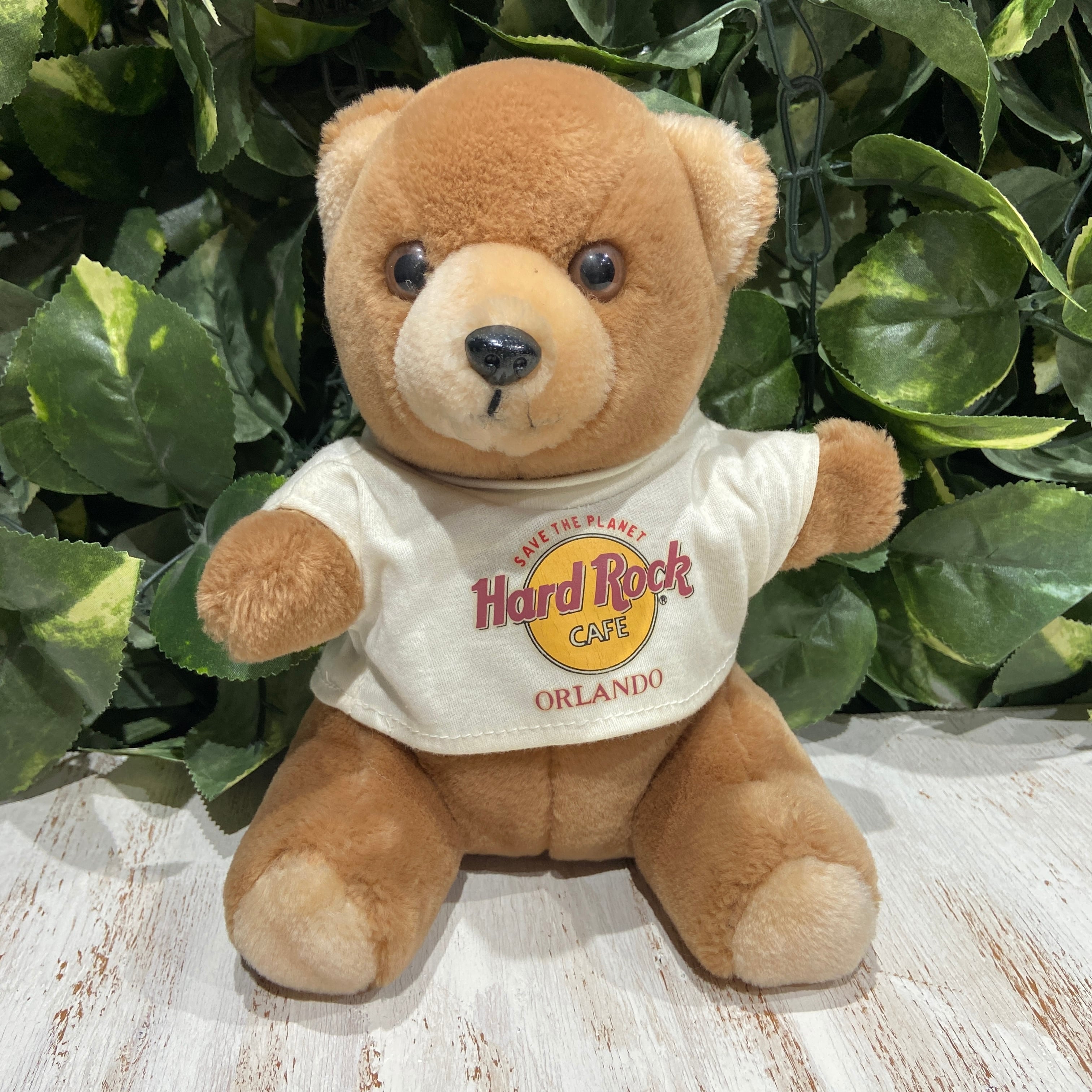 ☆ハードロックカフェベアちゃん☆HARD ROCK CAFE☆Tシャツ着てます