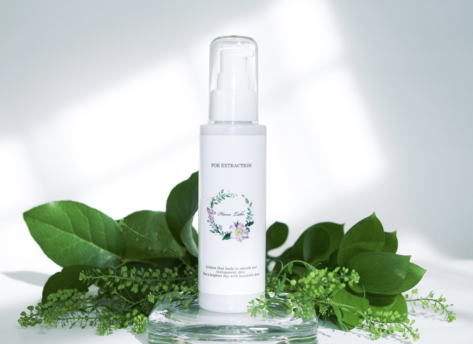 5%OFF／2個セット】クリアローション | HANA LABO