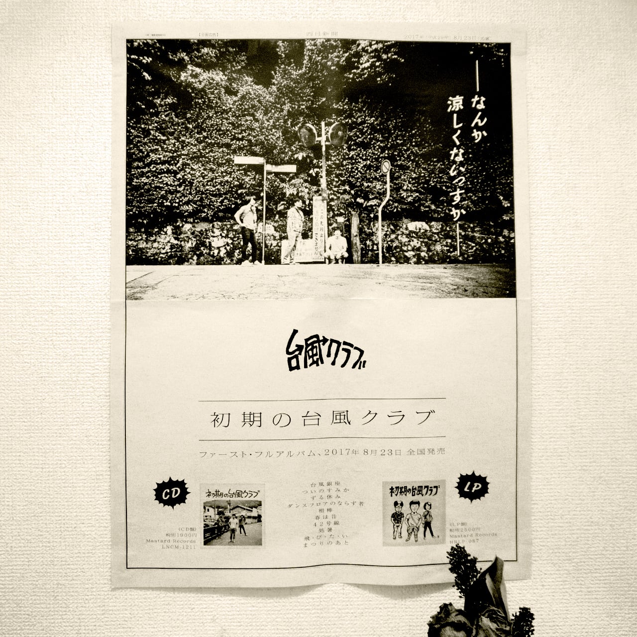 LP】初期の台風クラブ | 台風クラブ直販部