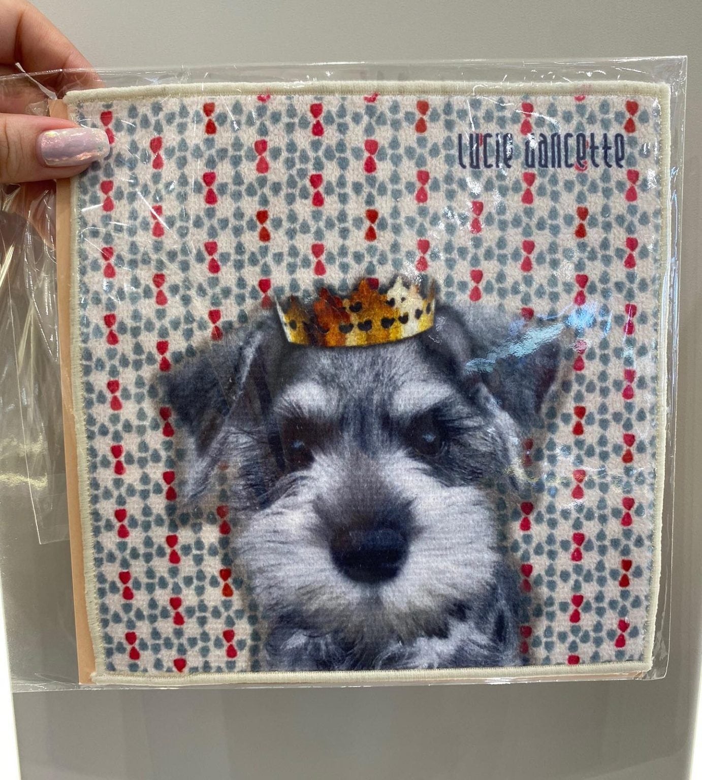 TW3 Luke| ミニチュアシュナウザー ミニタオル タオル ハイブリット