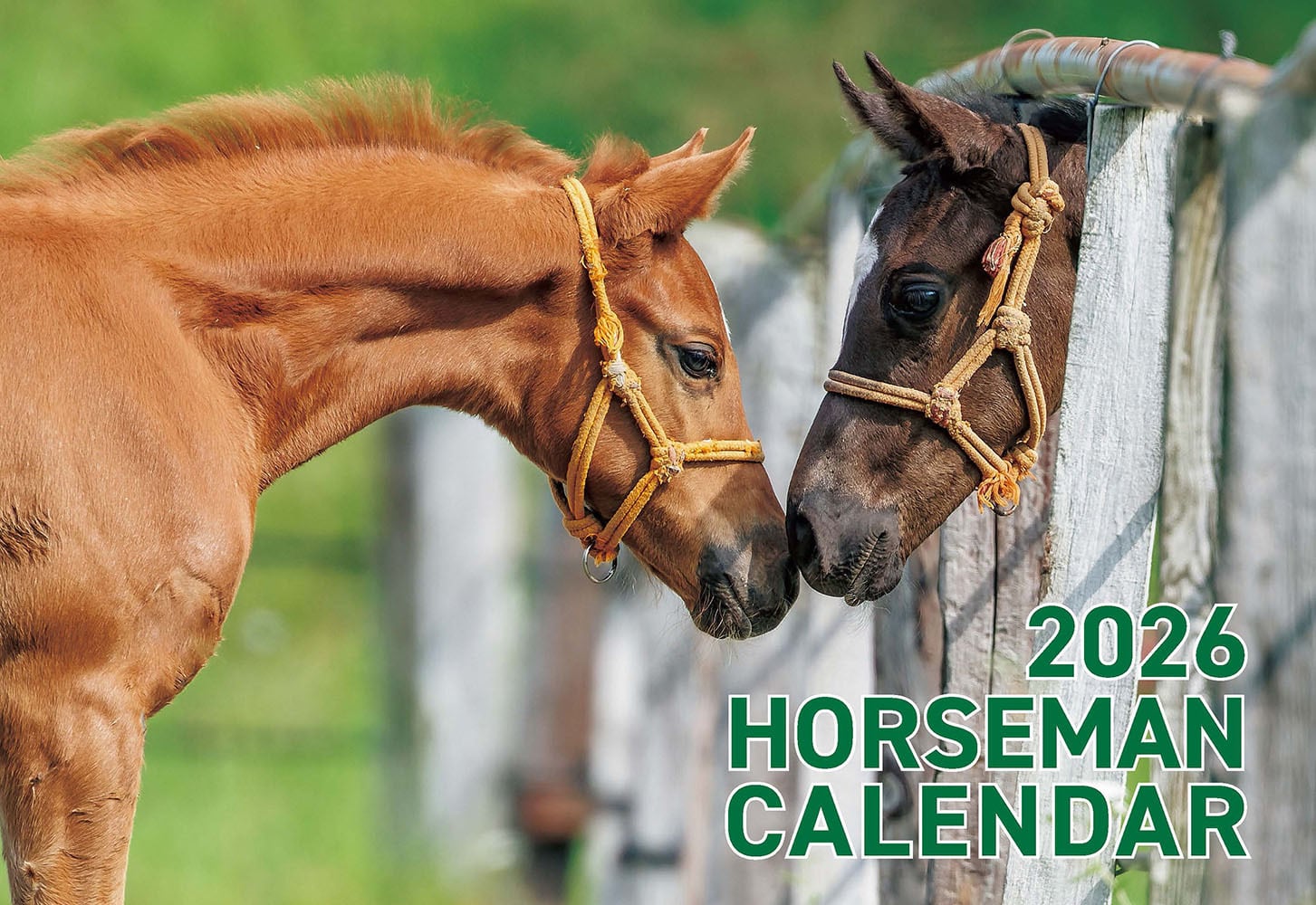 サラブレッド血統センター OnlineShop