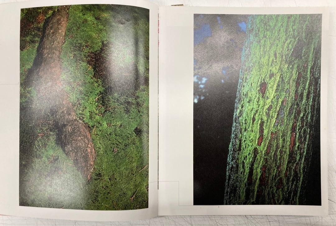 東松照明作品集 廃園 1987年 初版 プラスチックカバー PARCO出版局