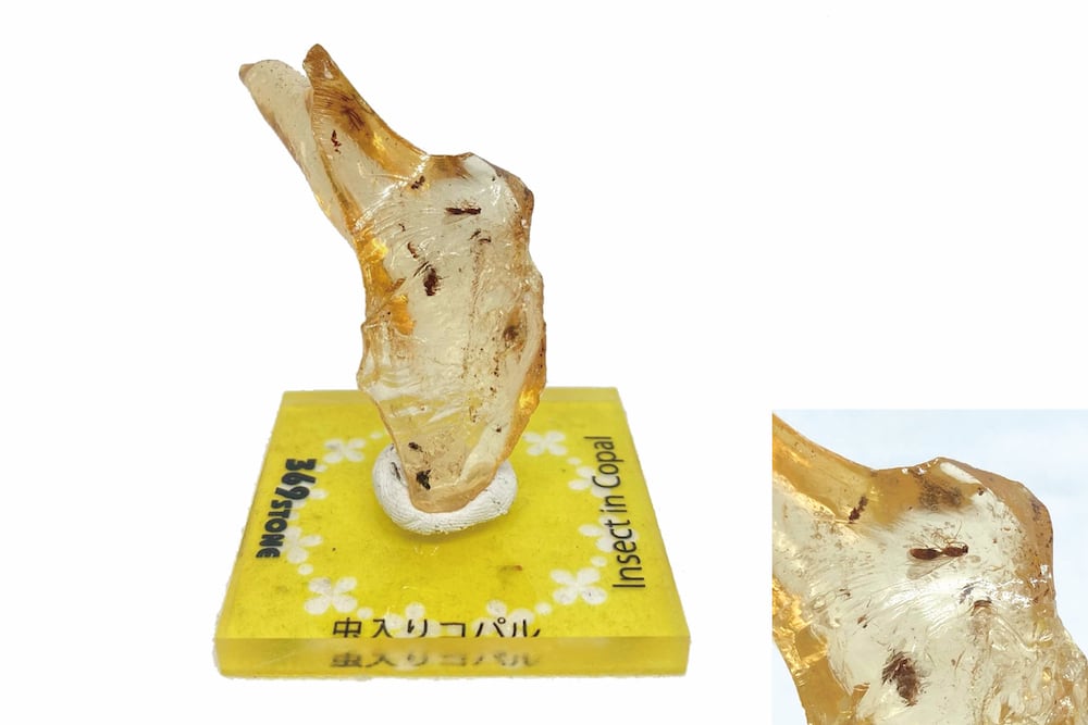 虫入りコパル（琥珀） | 天然石とレトロガラスの369ストーン（ミロク