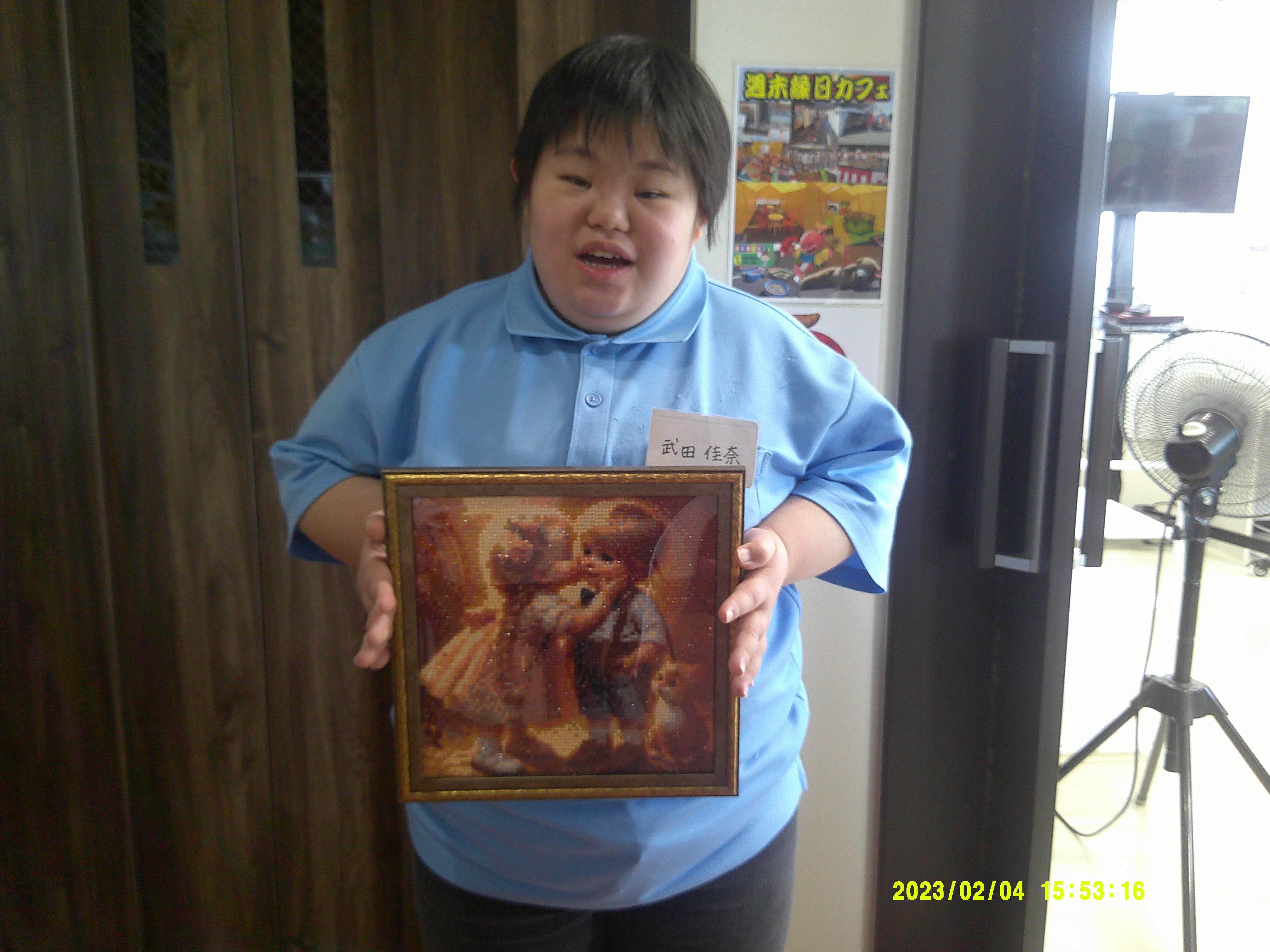 ダイヤモンドアート kana takeda N1 額縁込みのお値段になります