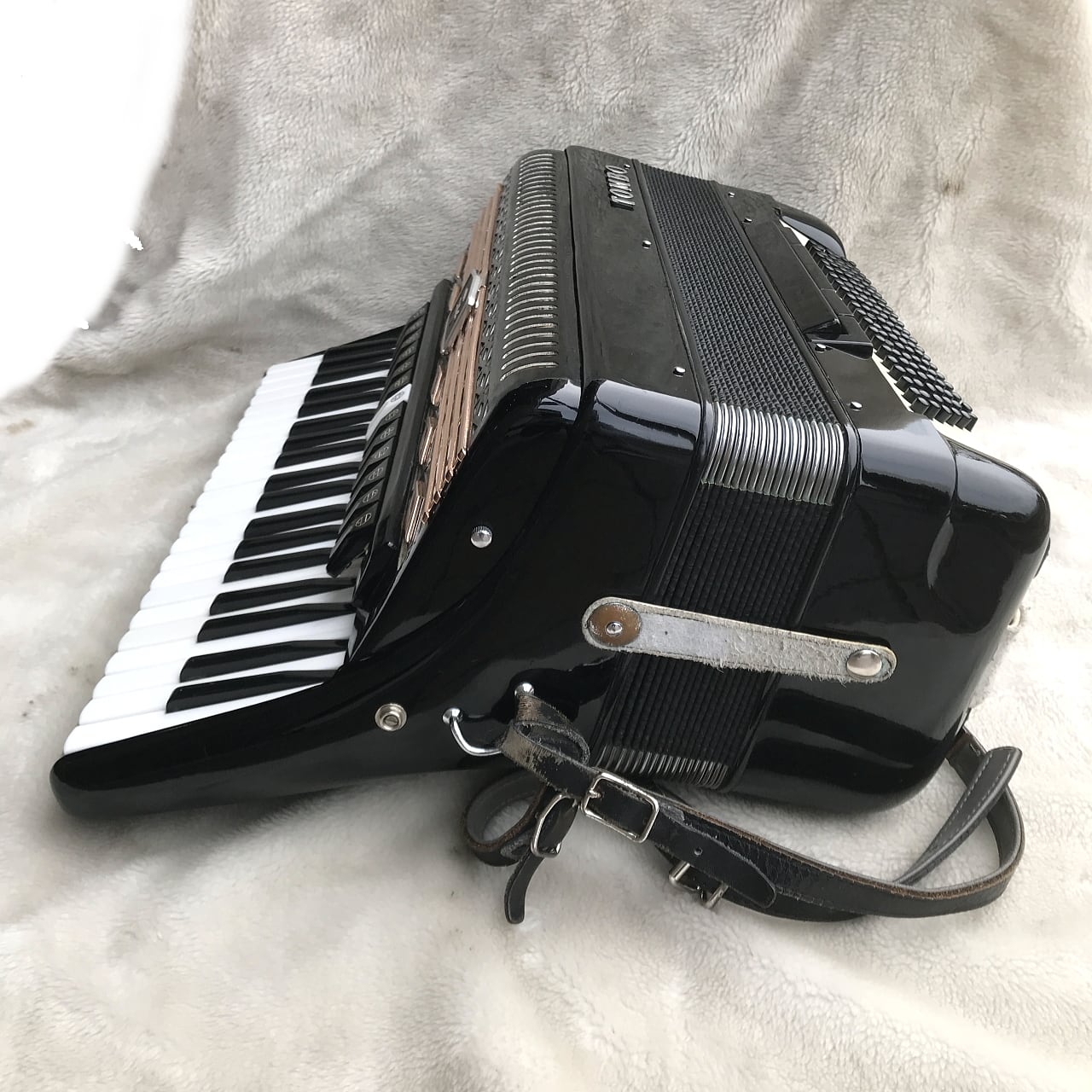 TOMBO T-120D ACCORDION | MUSICSHOP BOB
