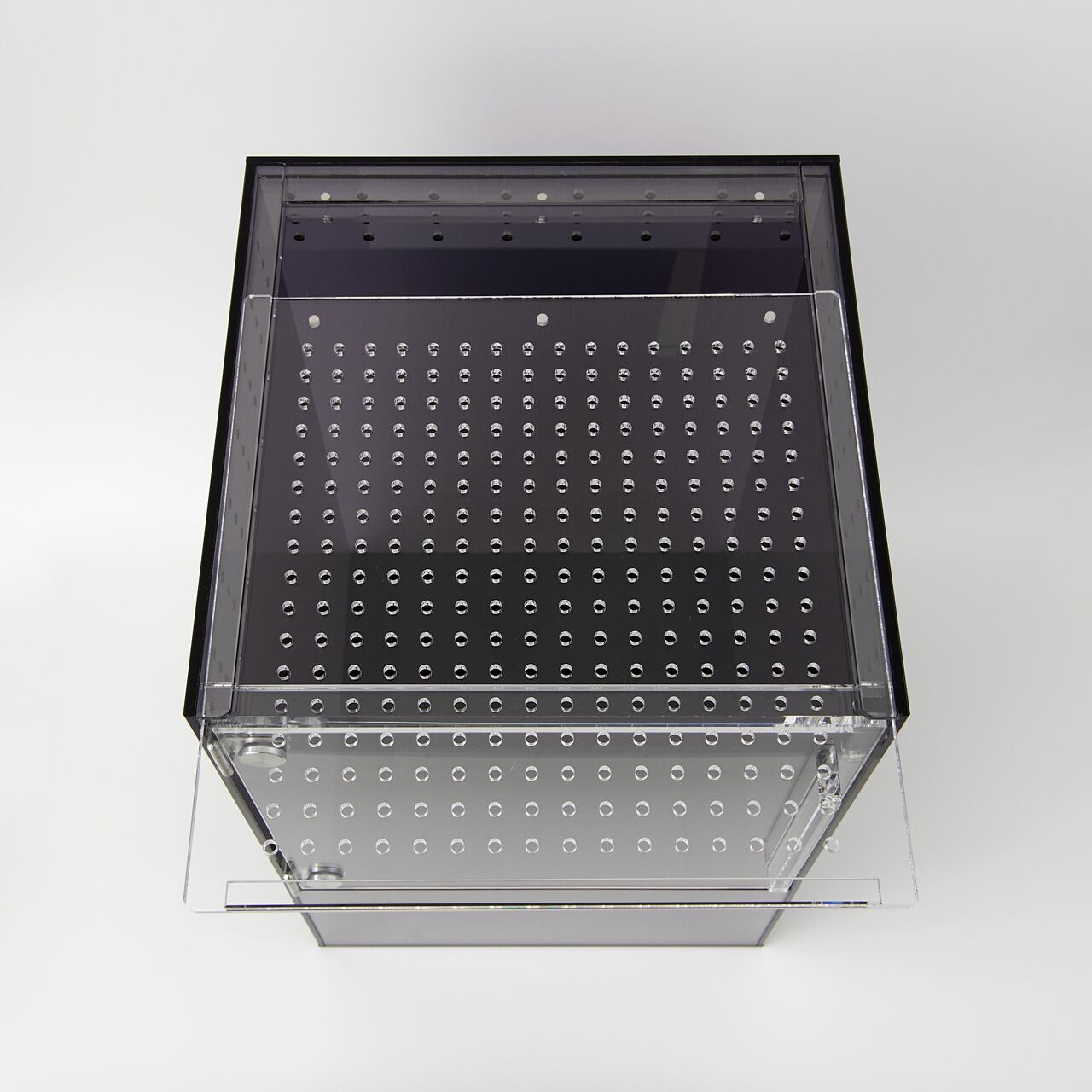 clear4-ブラックver】W300×D300×H450 Small Dinosaur スモール