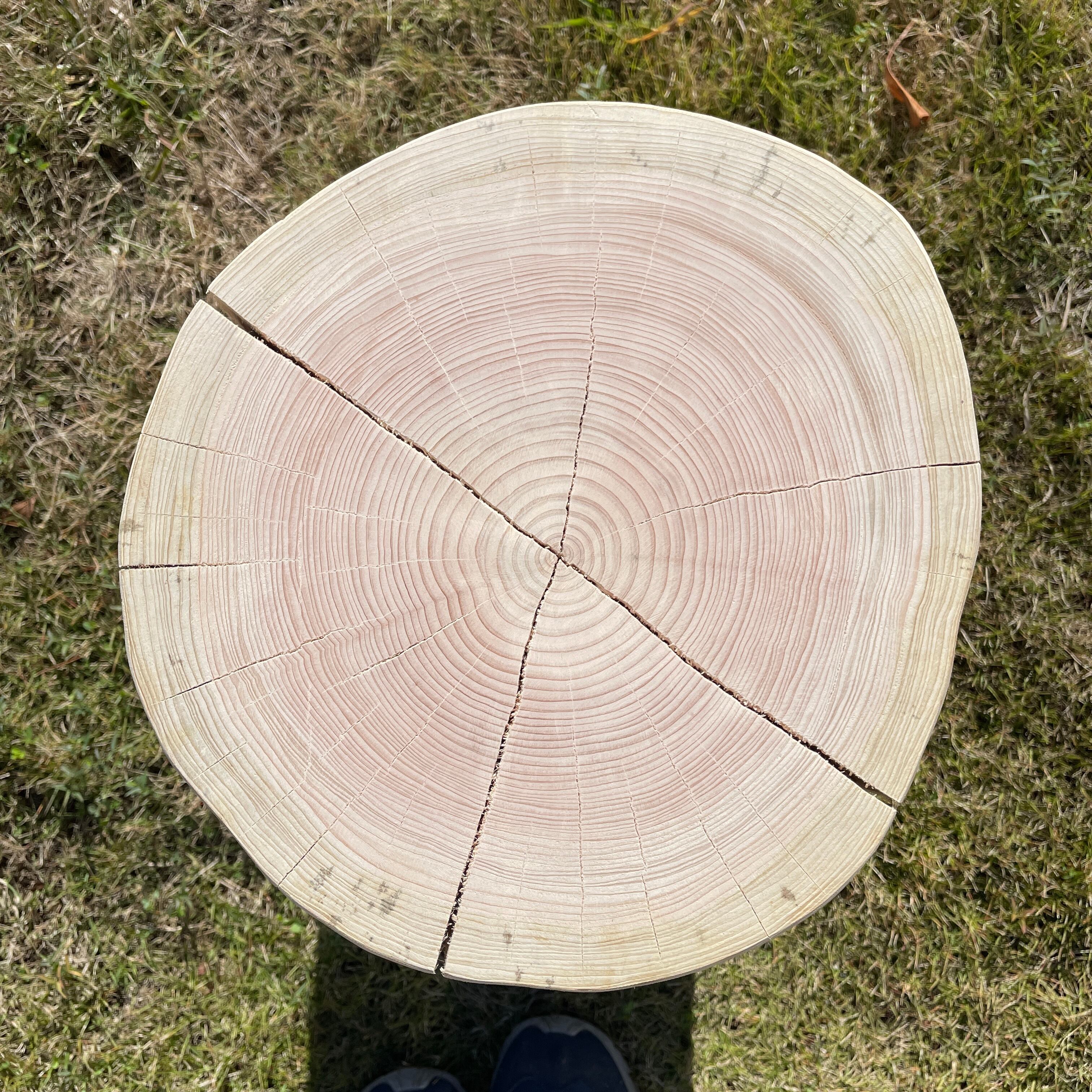 訳アリ特価】桧の丸太スツール 直径25～30cm前後 高さ42cm | ”山地