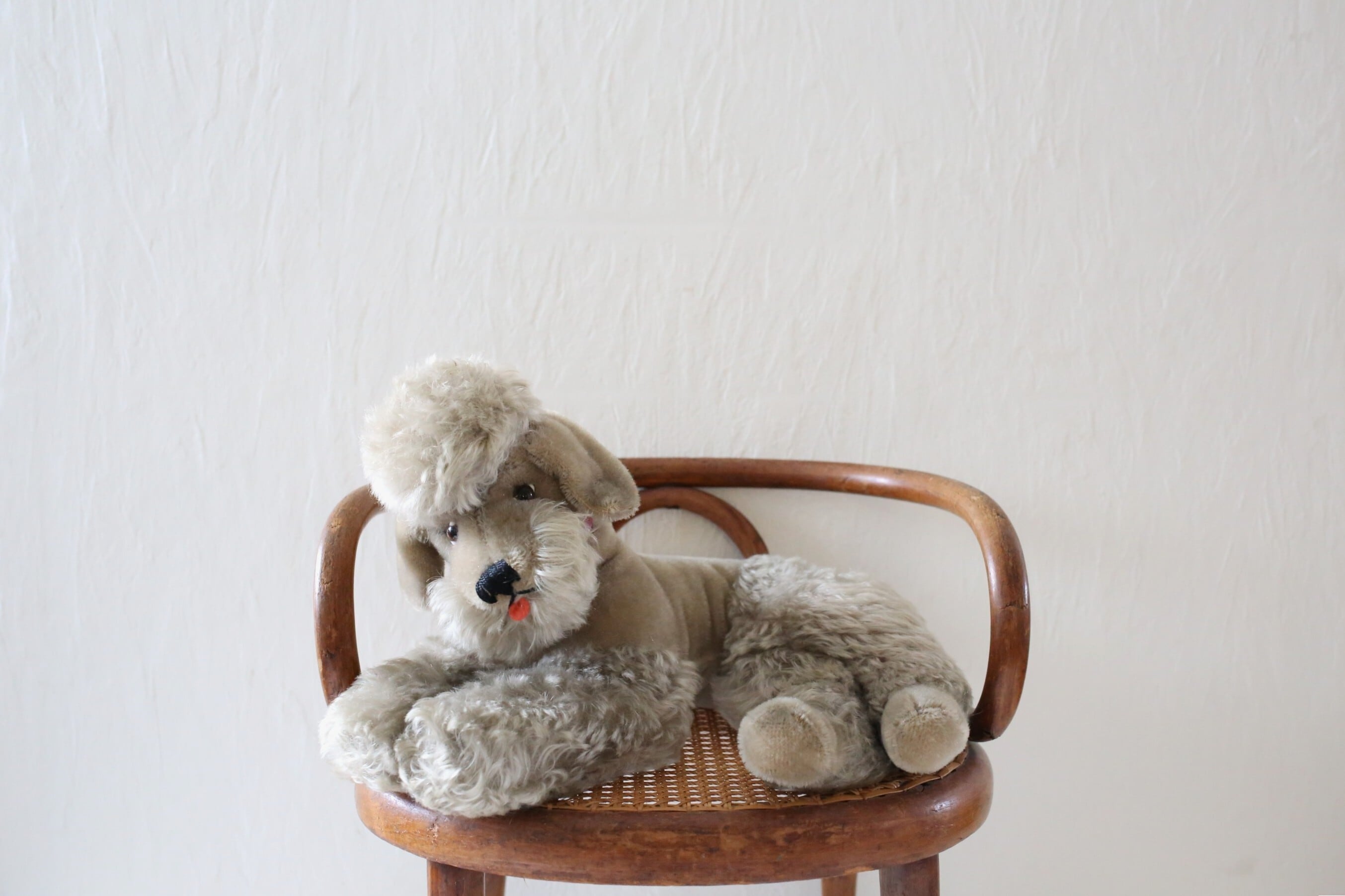 シュタイフ steiff | EMUPARIS