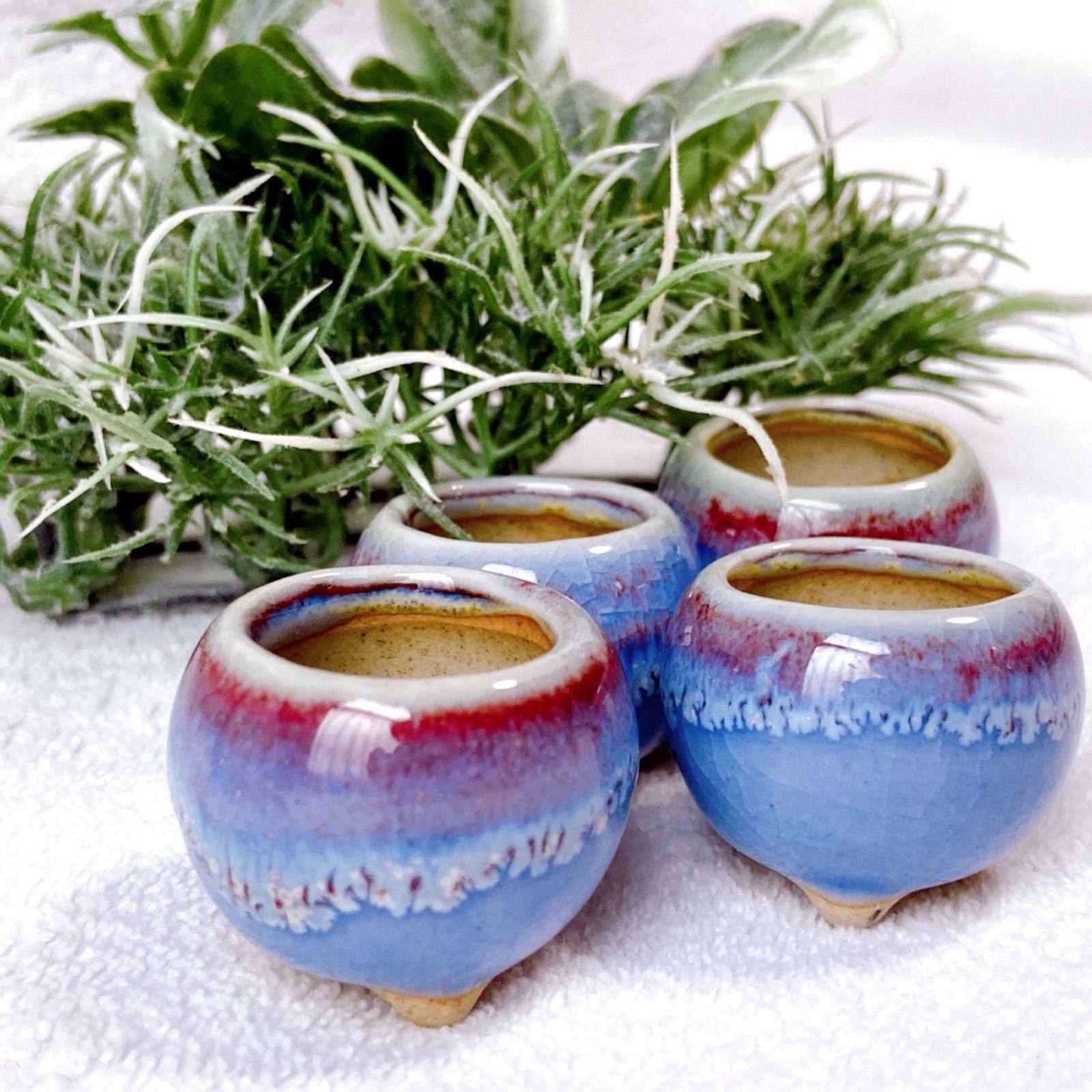 青と紫のグラデーションが美しい陶器製植木鉢 4点セット】 豆盆栽や苔