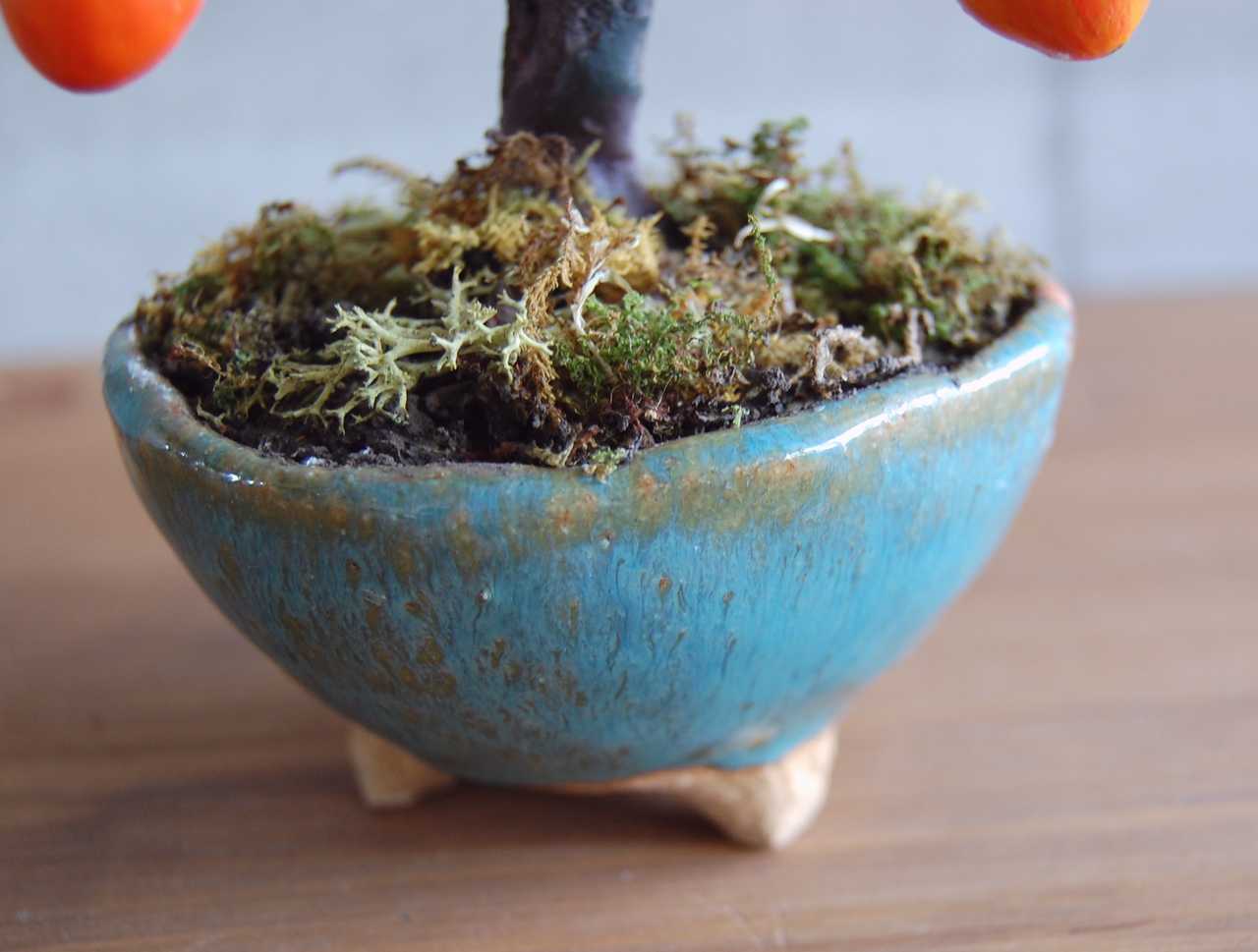 ◇粘土のお花◇ 柿盆栽【ロウヤガキ（老爺柿）】・・・高さ17センチ