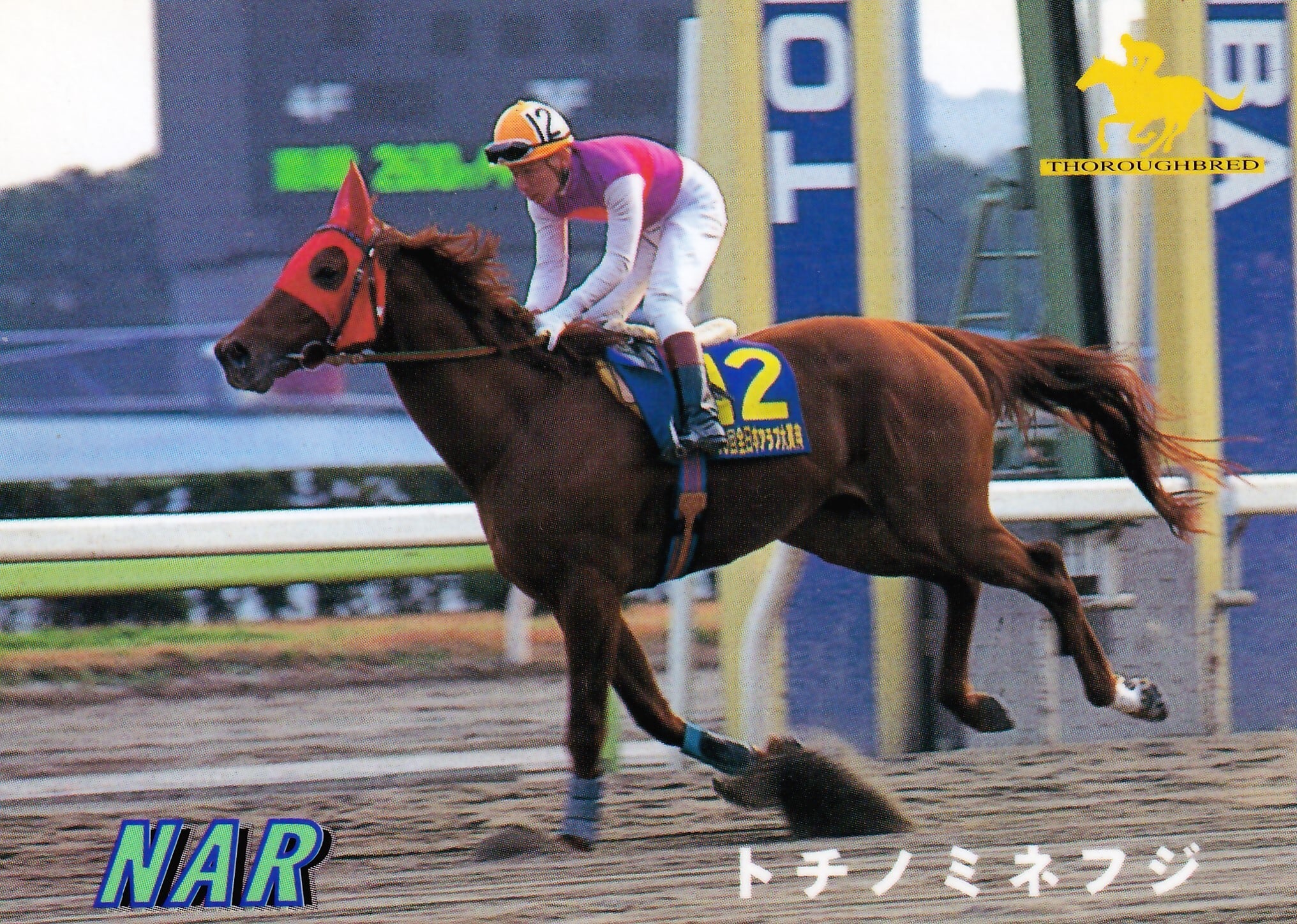 トチノミネフジ「サラブレッドカード 96年上半期版」No.194 | カード