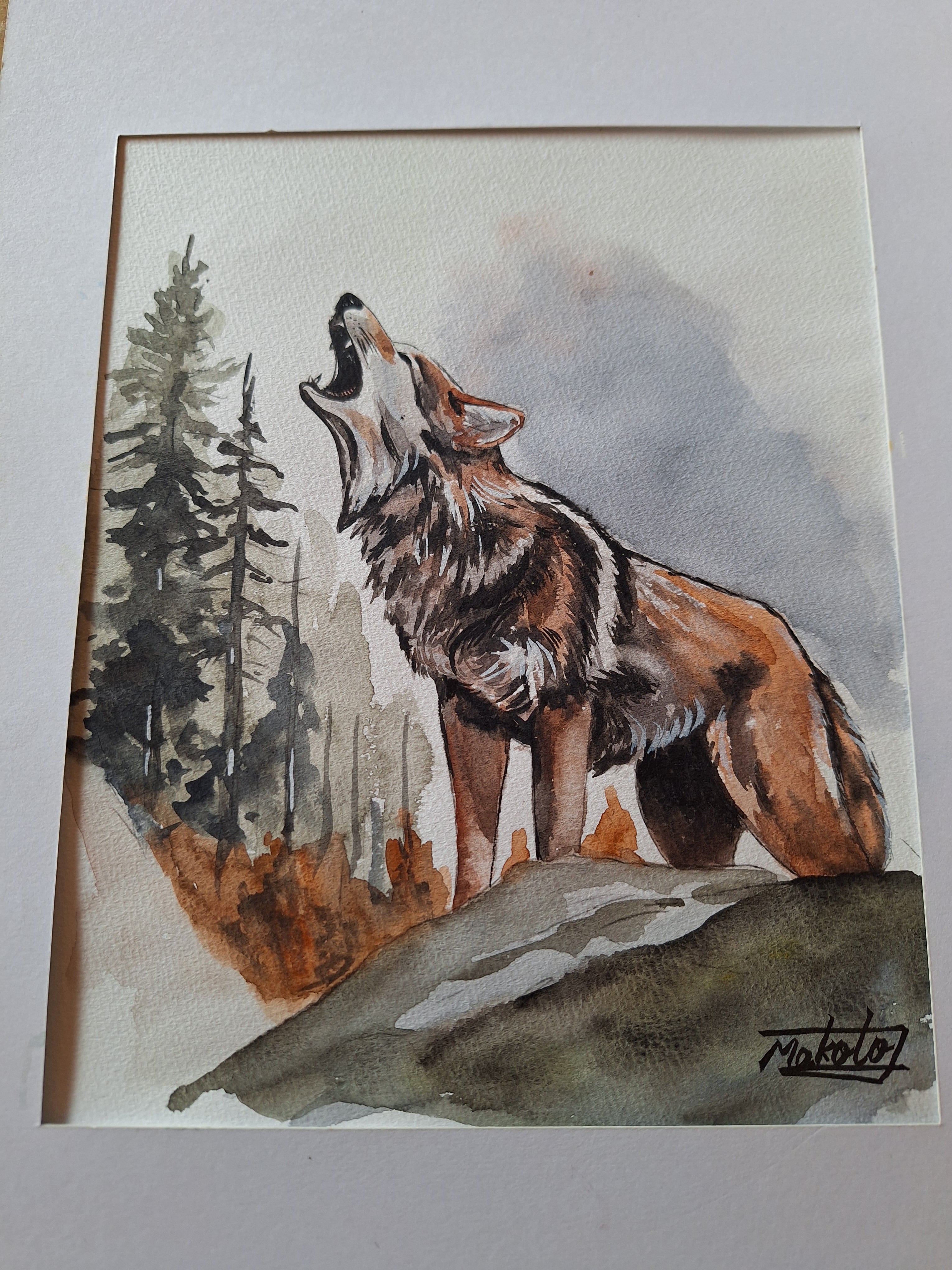 6b9d4705ad2f415422276fff8caf47